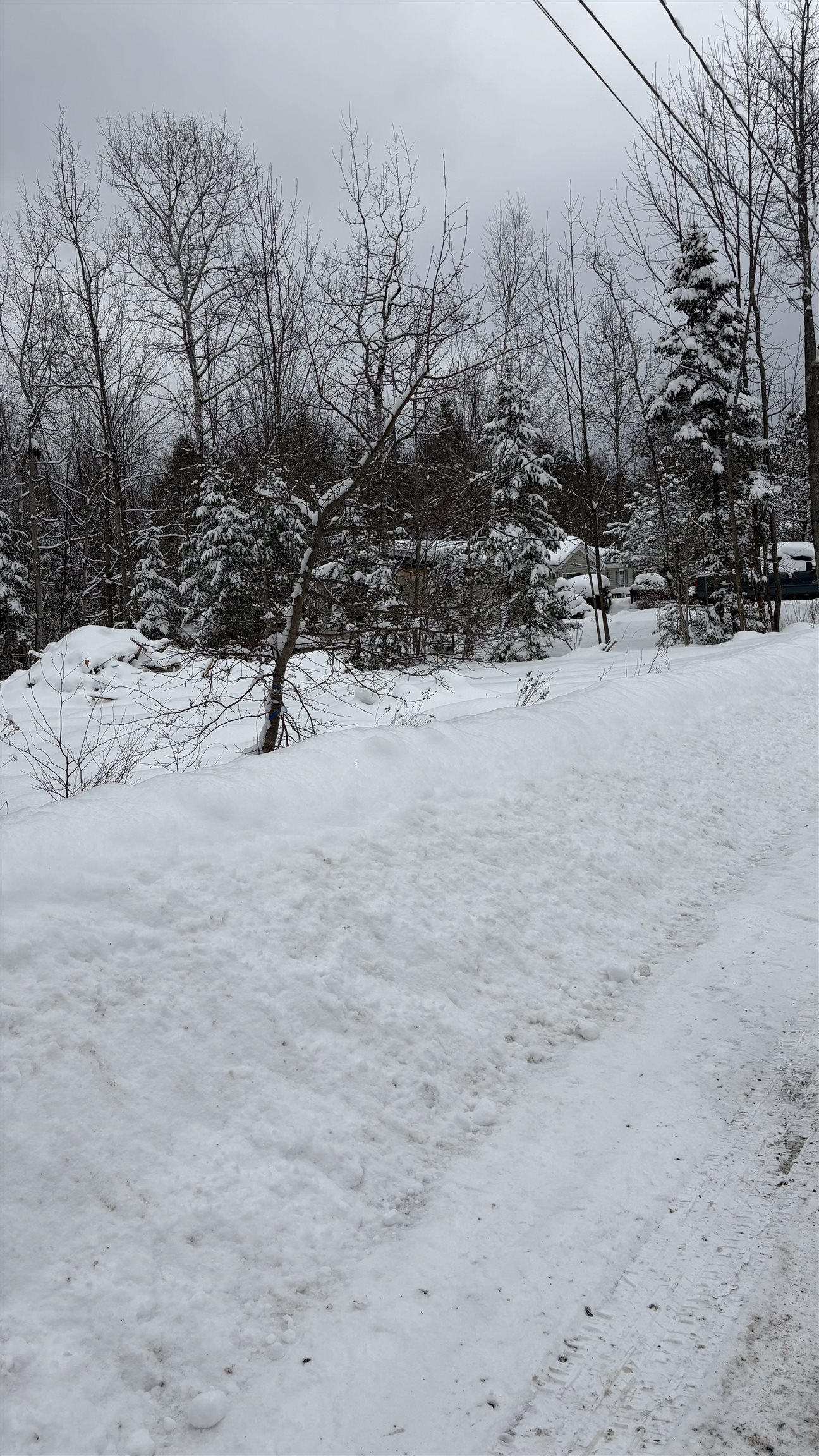 7 James St, Bethlehem, NH 03574