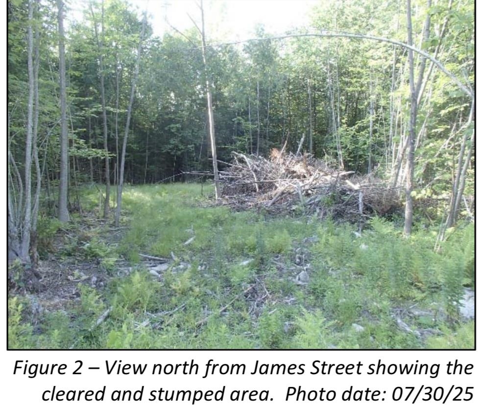 7 James St, Bethlehem, NH 03574