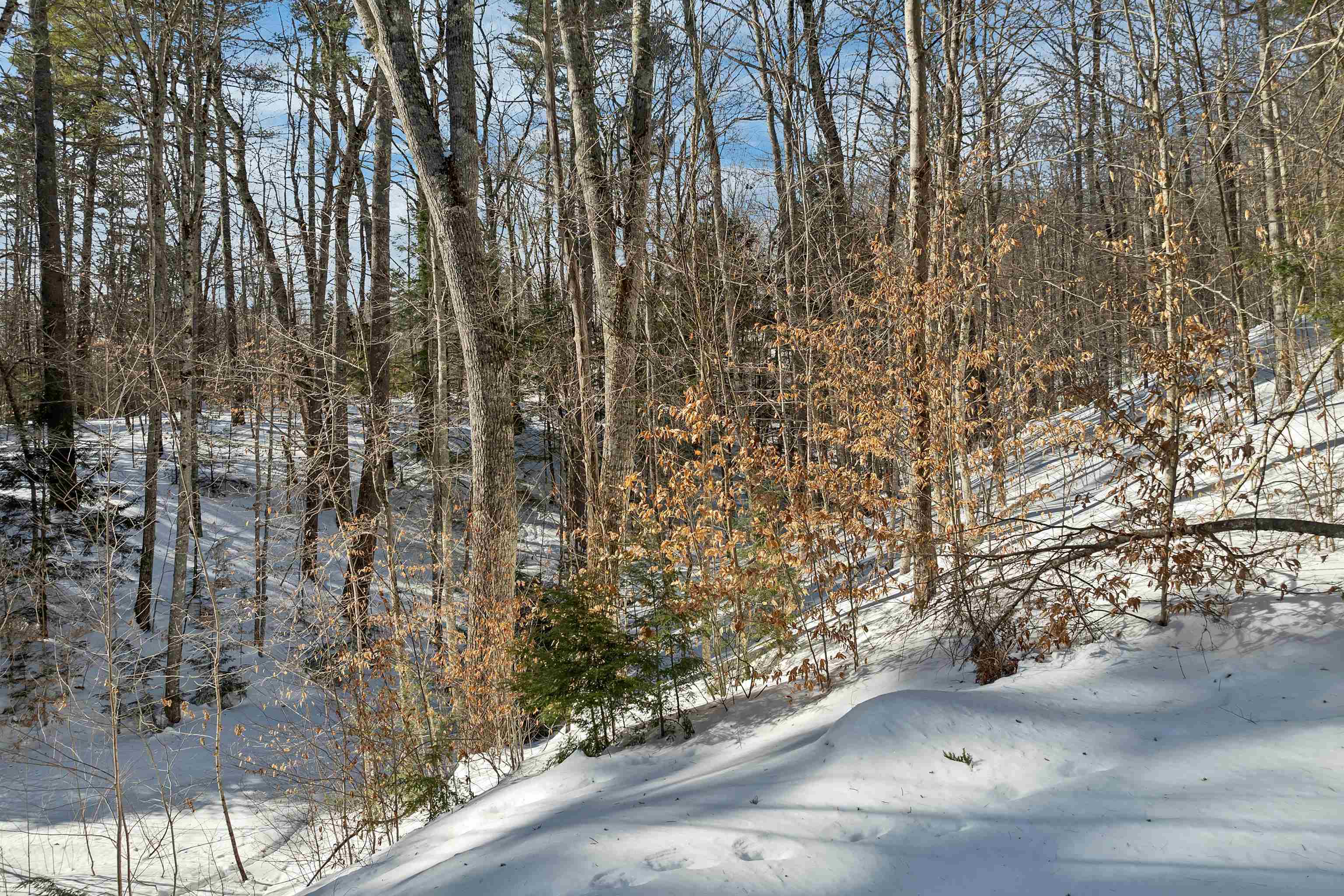 13-1 Page Rd, Campton, NH 03223