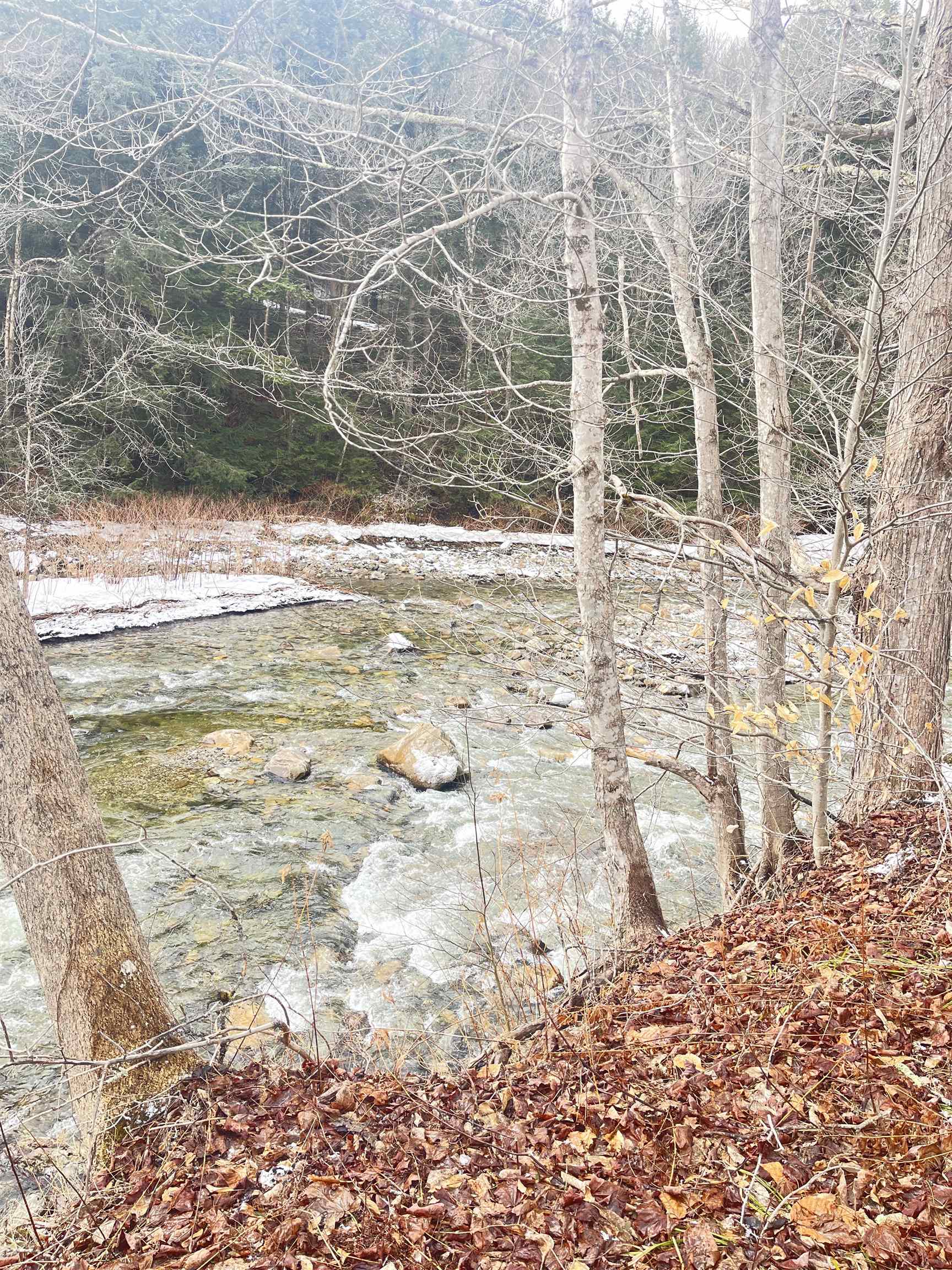 Homes for sale in Lincoln, VT | 1726 West River Rd, Lincoln, VT 05443 | MLS# 5076554