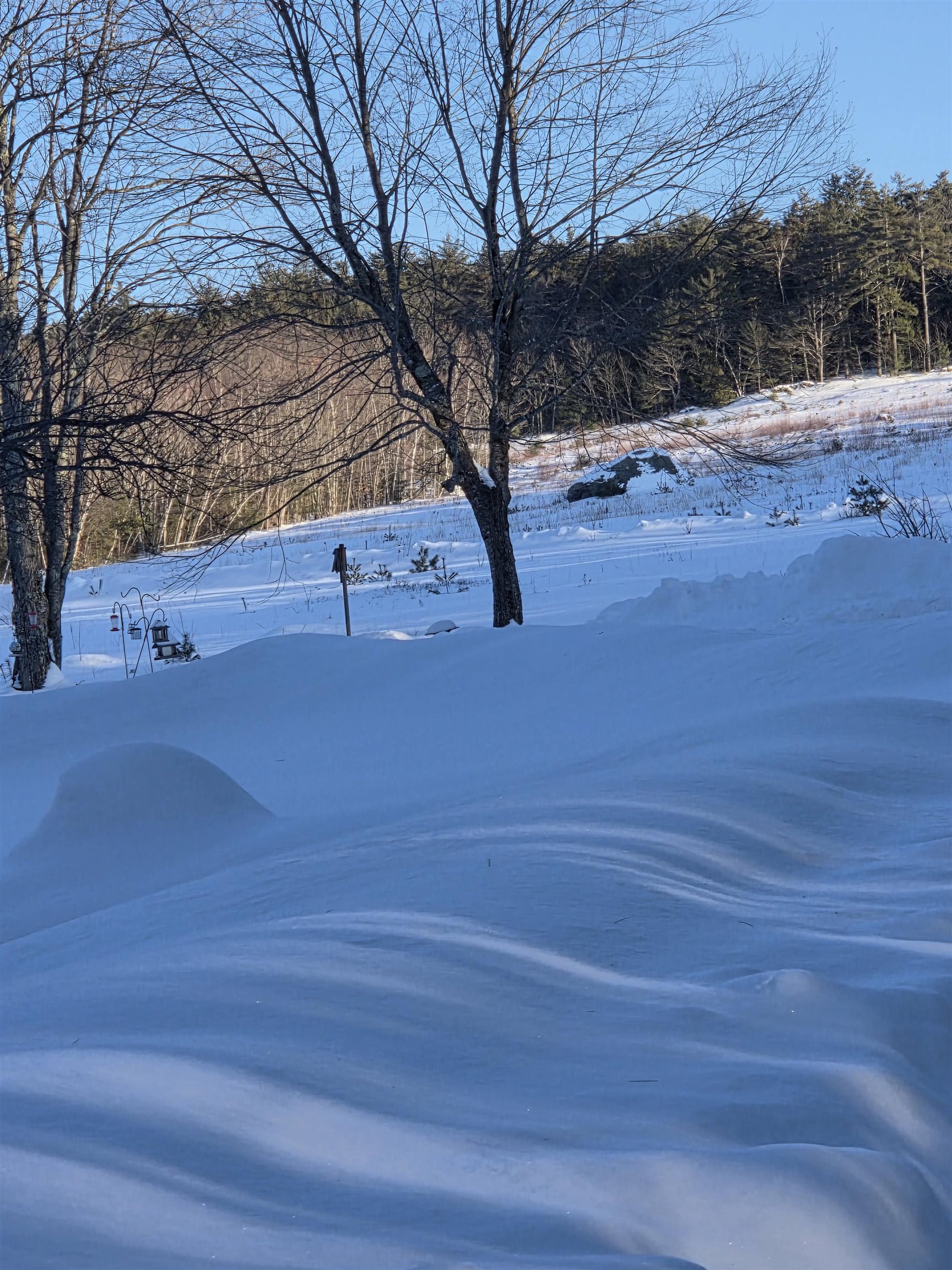 164 Mason Rd, Milton, NH 03851