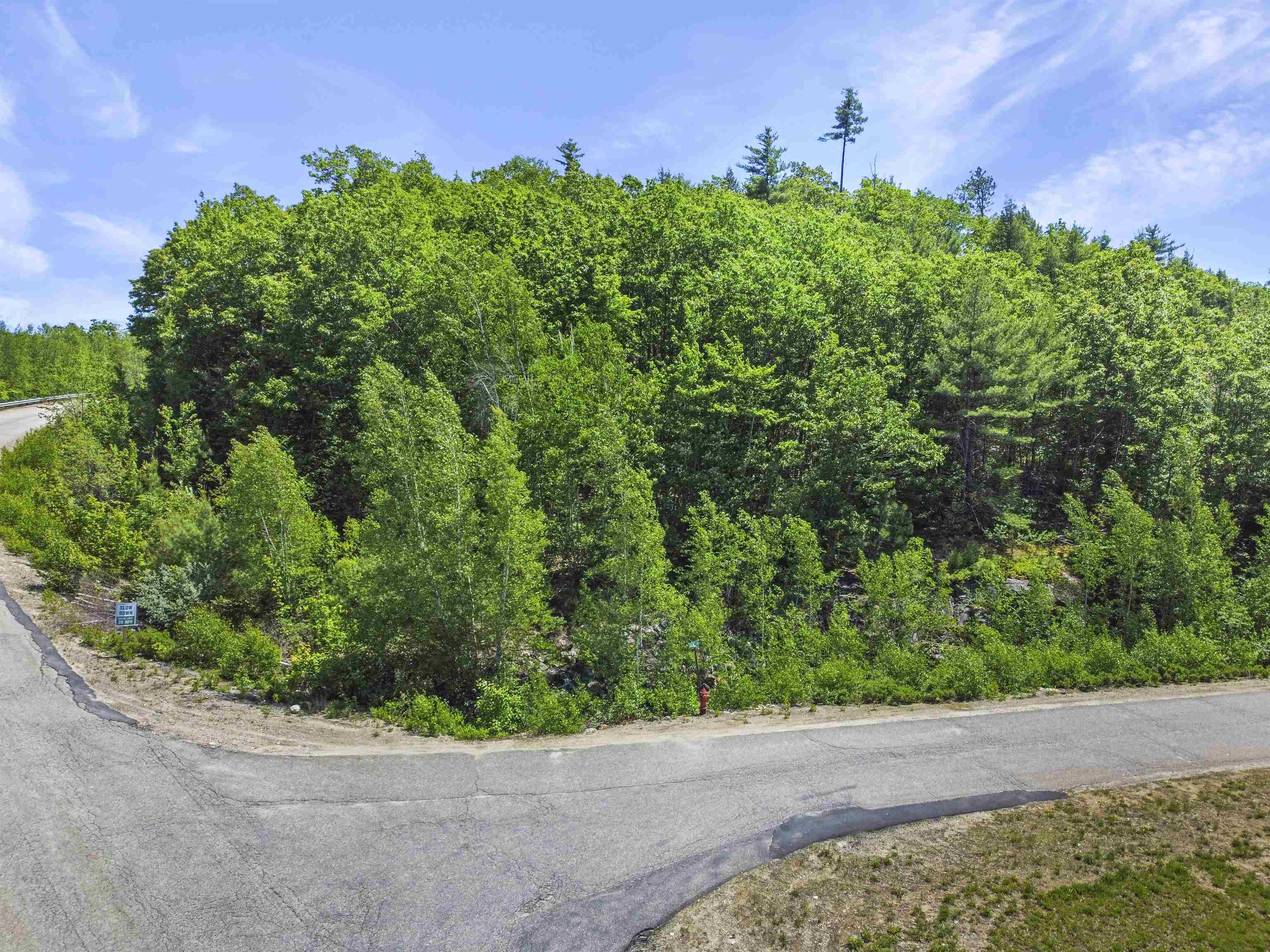 1 Lilac Lane, Campton, NH photo 4