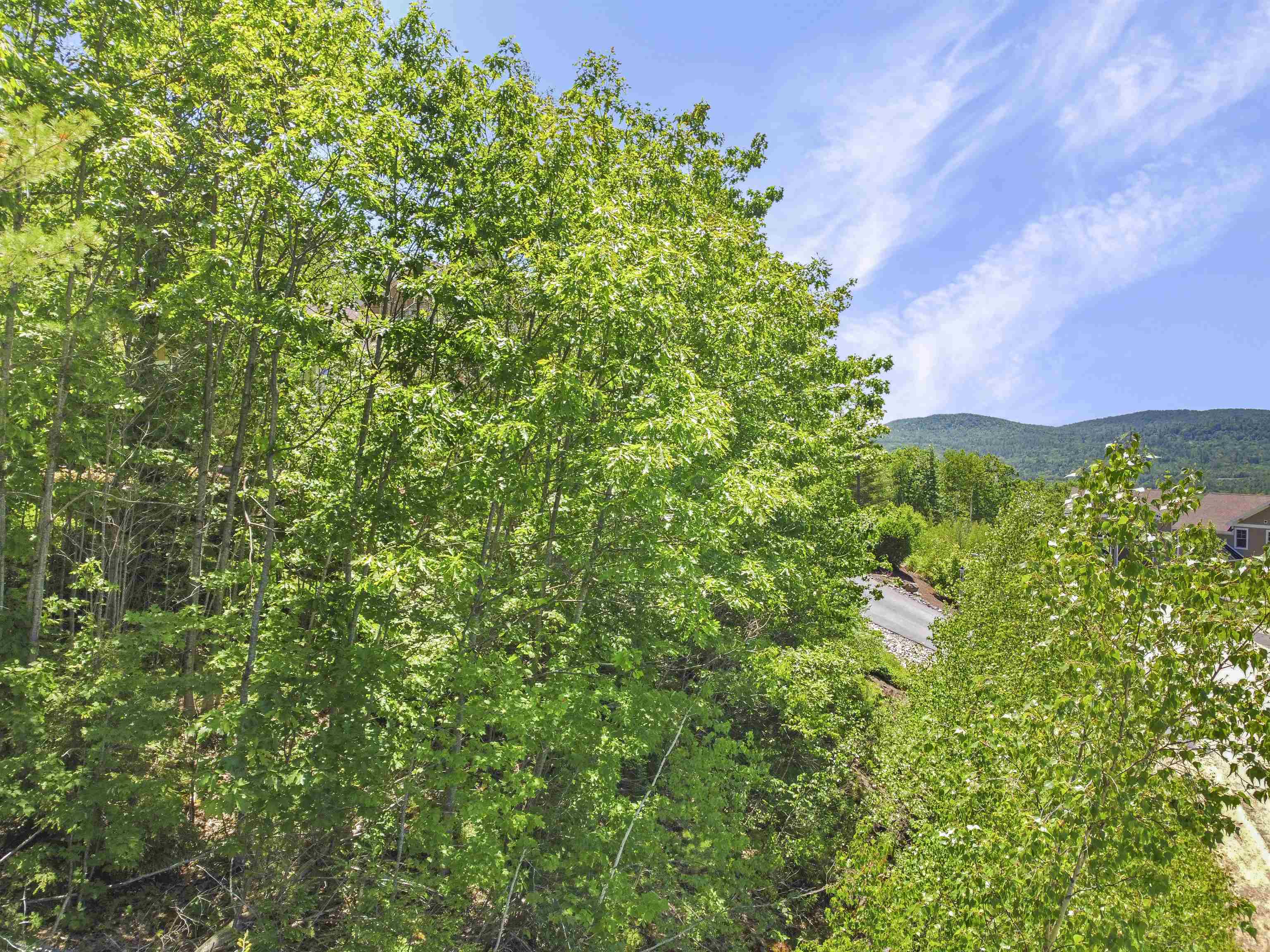 1 Lilac Lane, Campton, NH photo 5