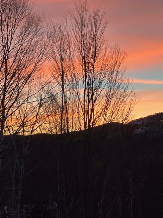 58 Christmas Mountain Rd, Bartlett, NH 03812