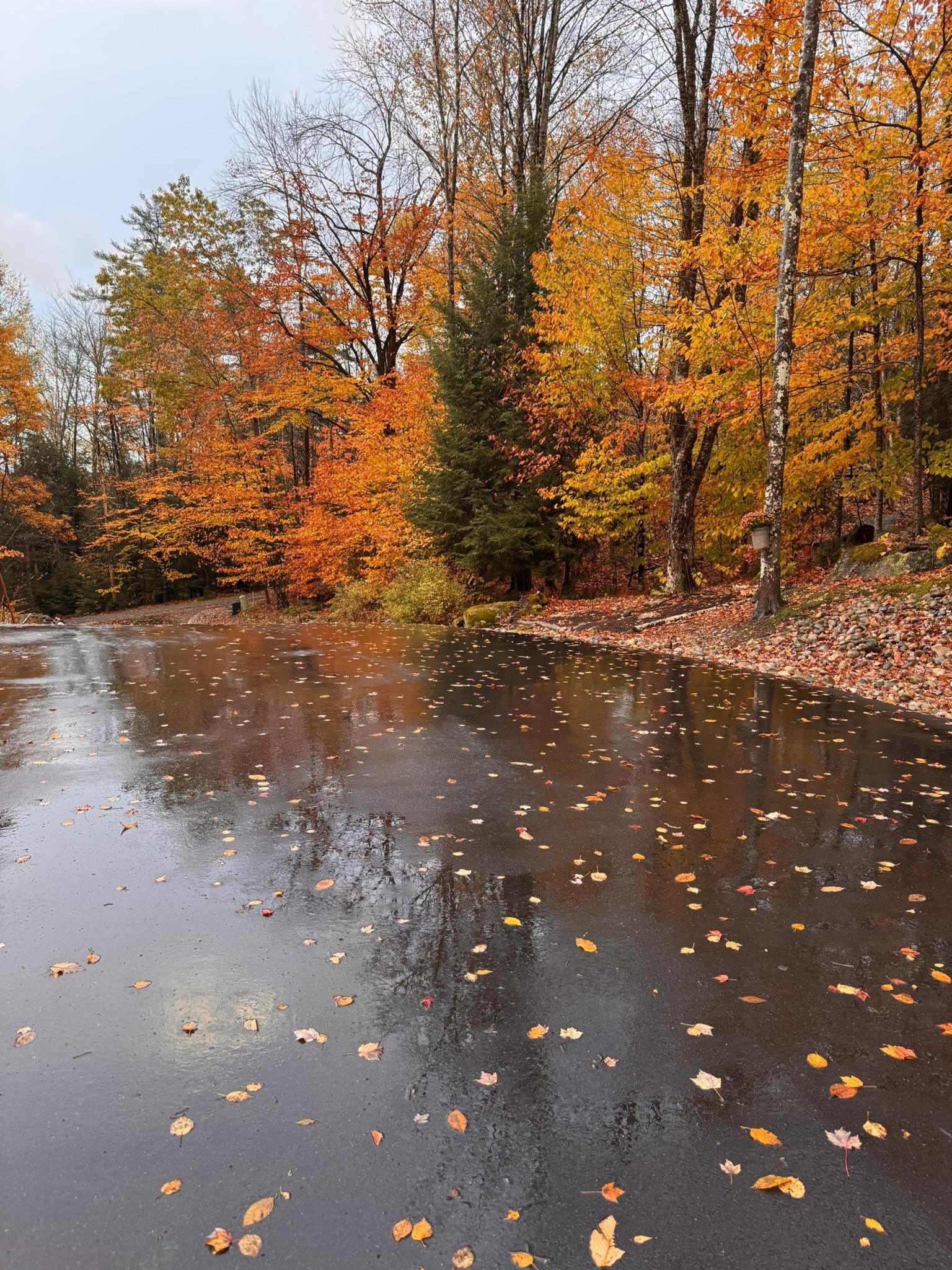 50 Banjo Dr, Thornton, NH 03285