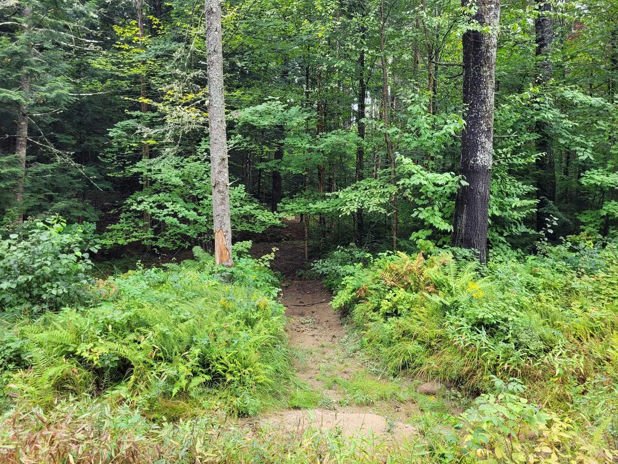 00 Covered Bridge Rd, Thornton, NH 03285