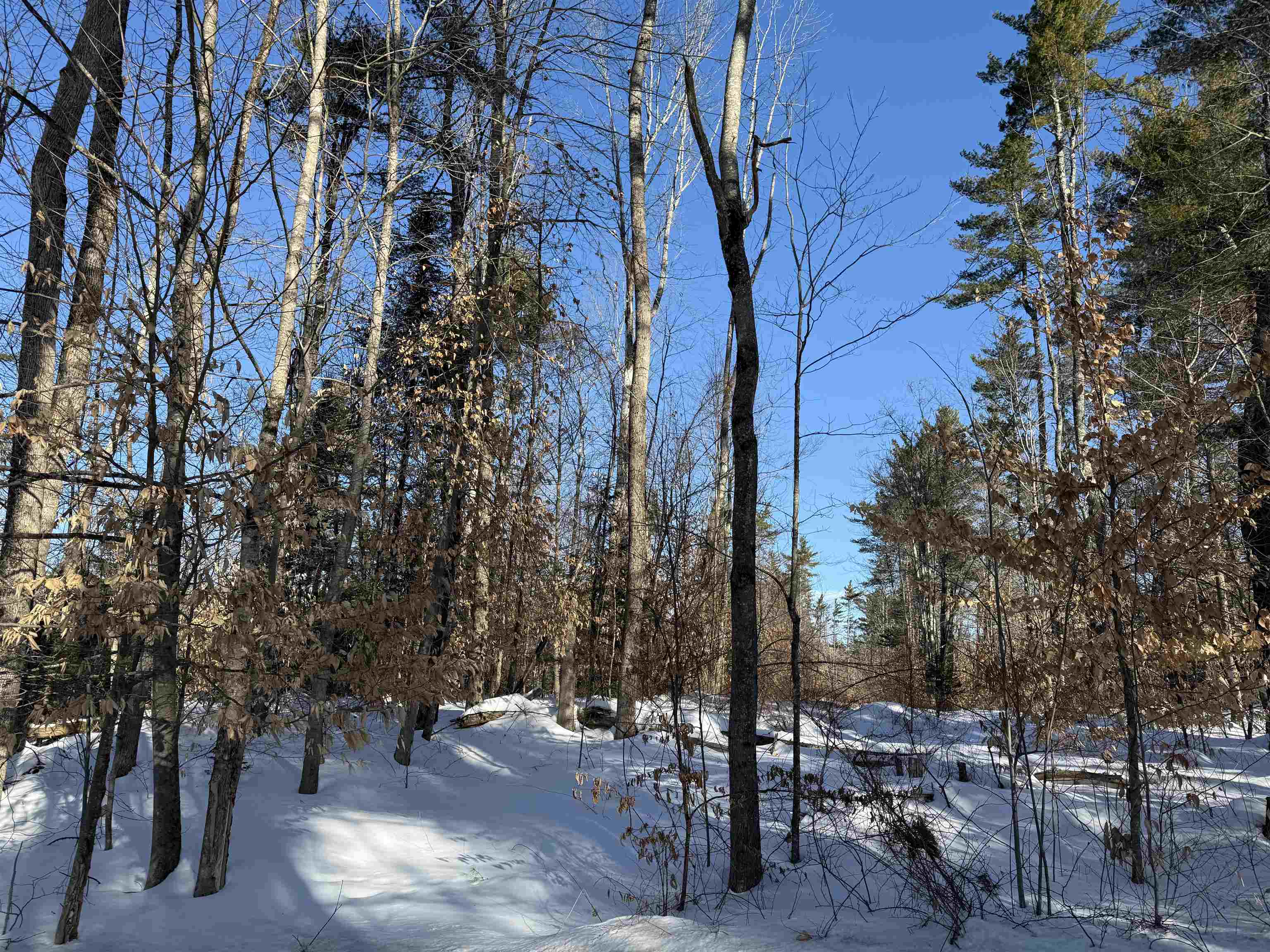 00 Hobbs Rd, Effingham, NH 03882