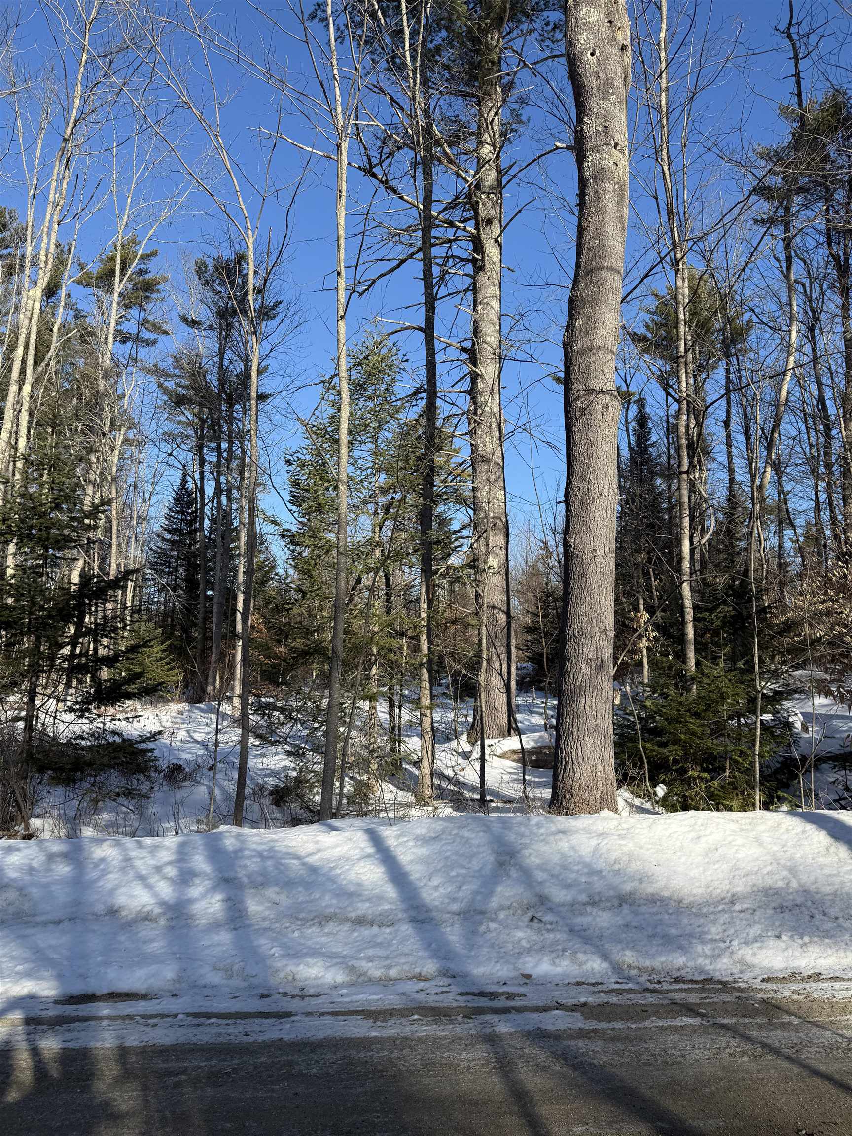 00 Hobbs Rd, Effingham, NH 03882