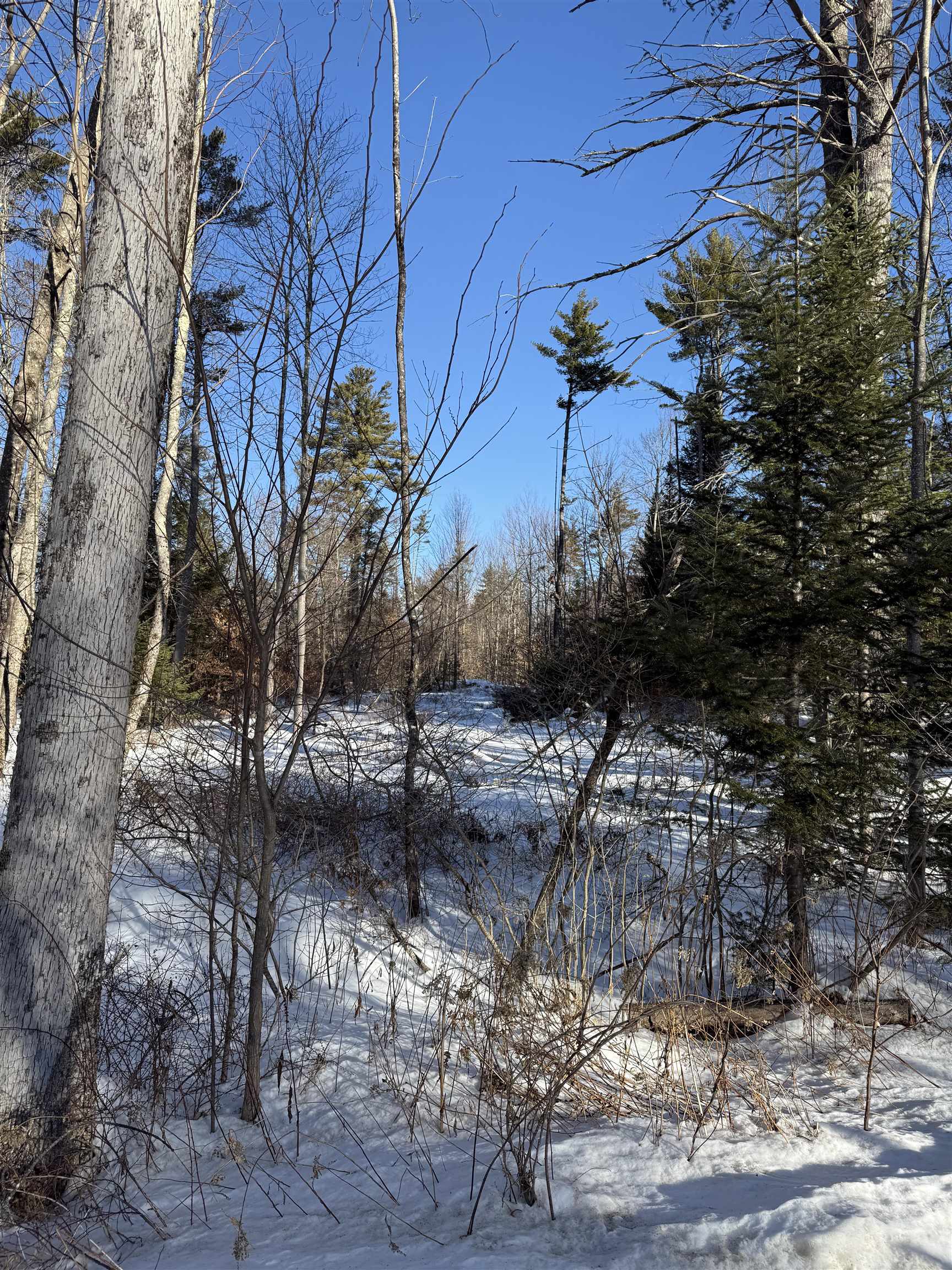 00 Hobbs Rd, Effingham, NH 03882