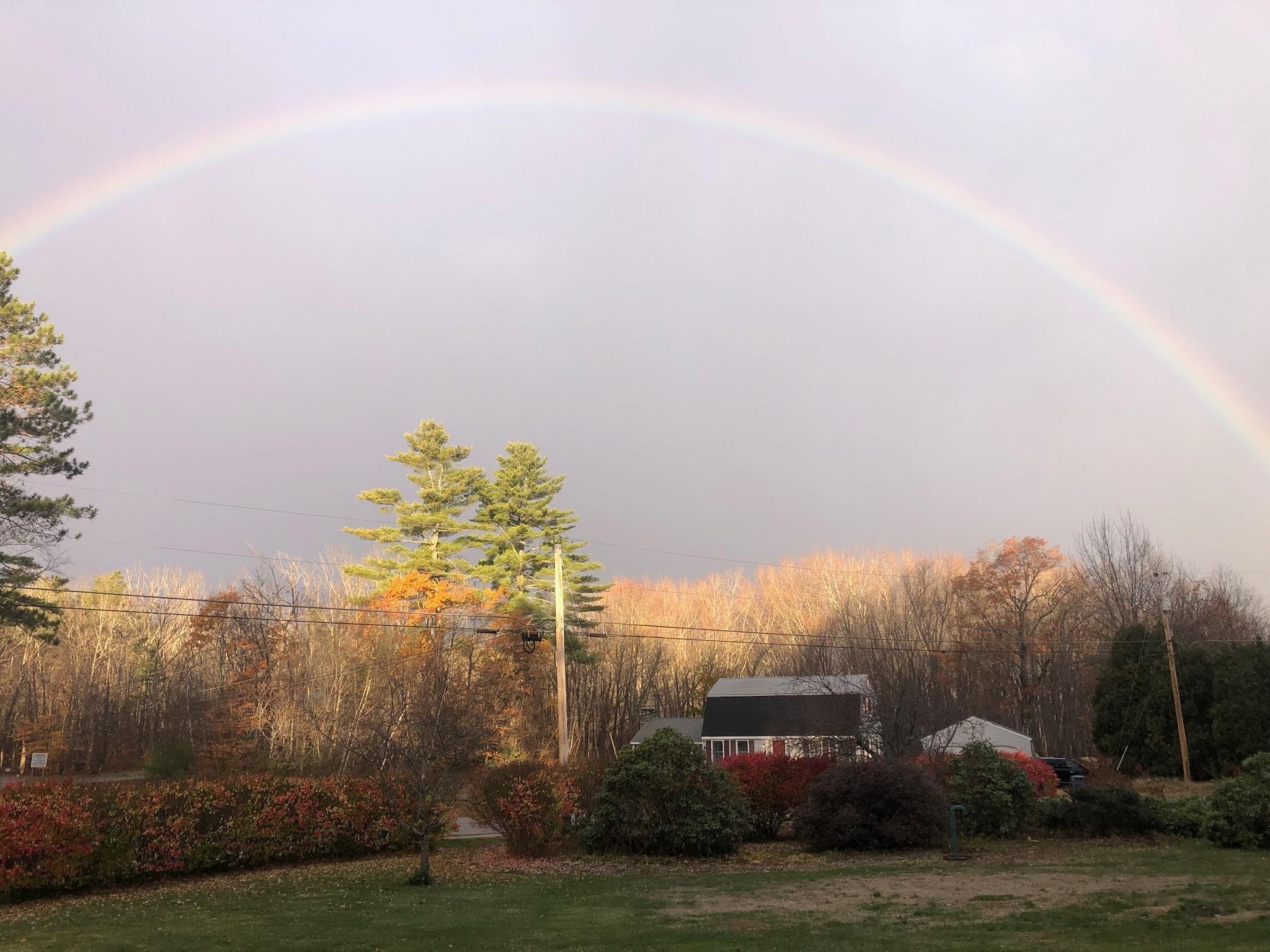 From neighbors yard