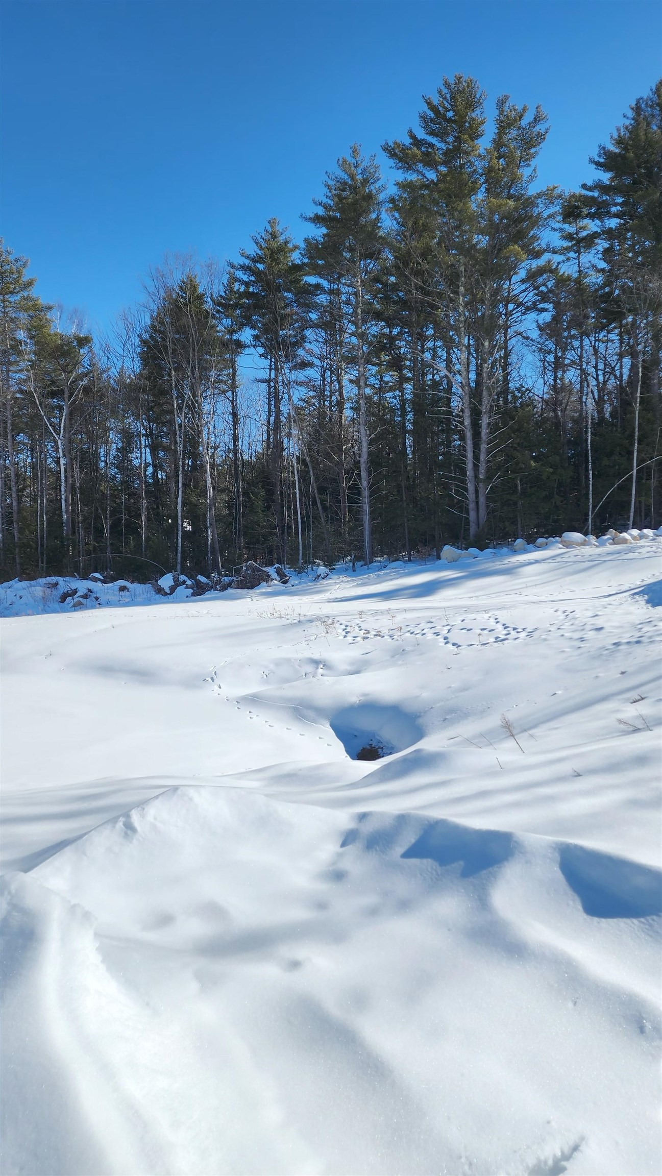 449 N Wakefield Rd, Wolfeboro, NH 03872