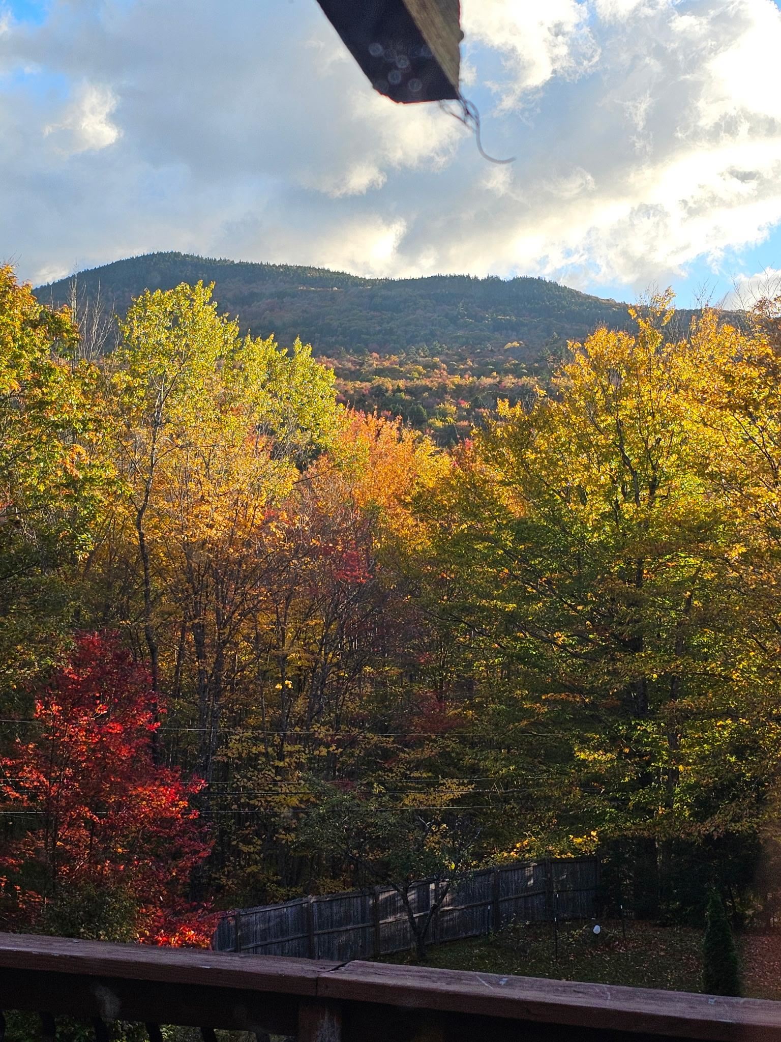 21 Dodge Rd, Groton, NH 03040