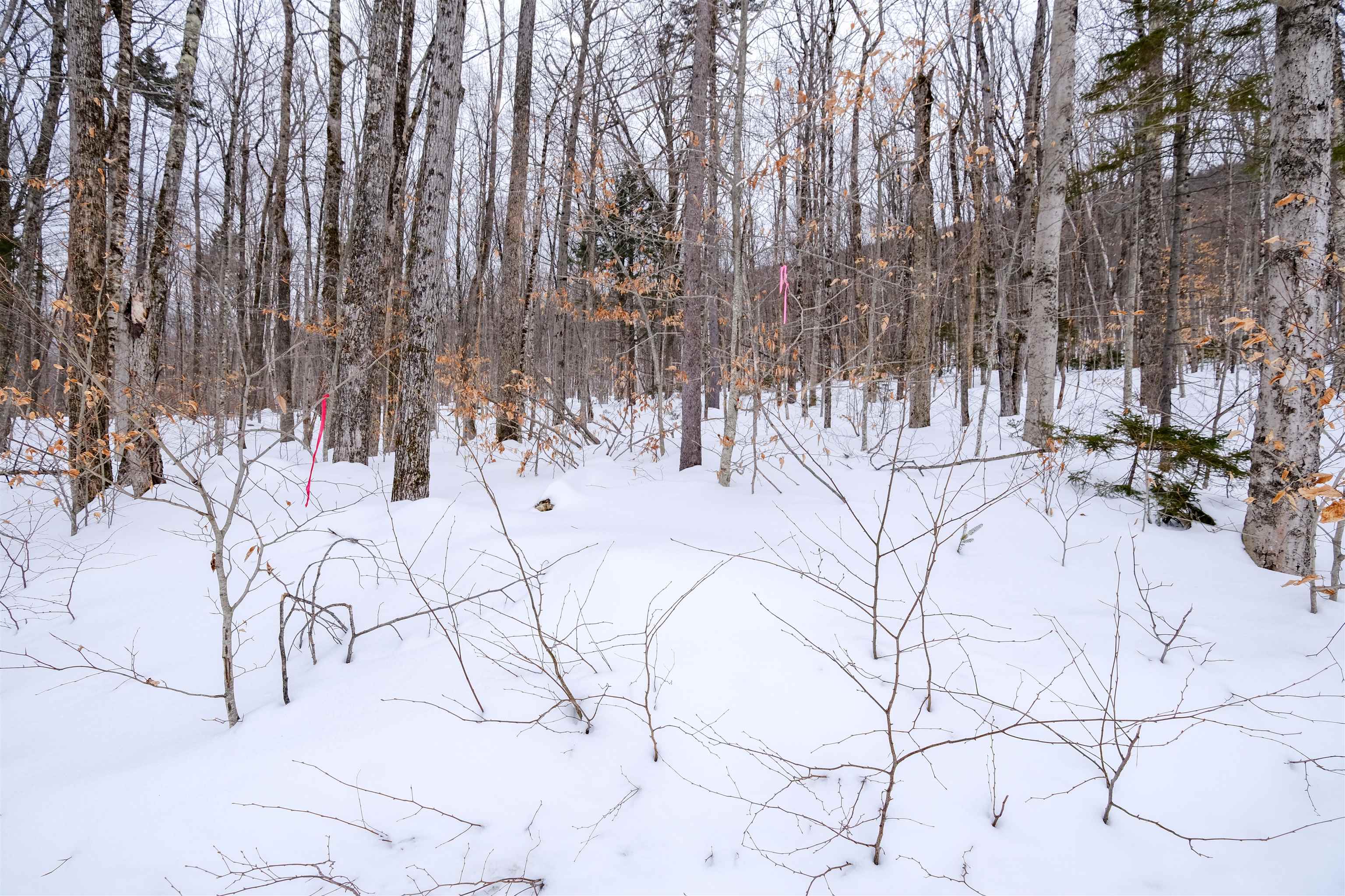 Markham Mountain Rd, Andover, VT 05143