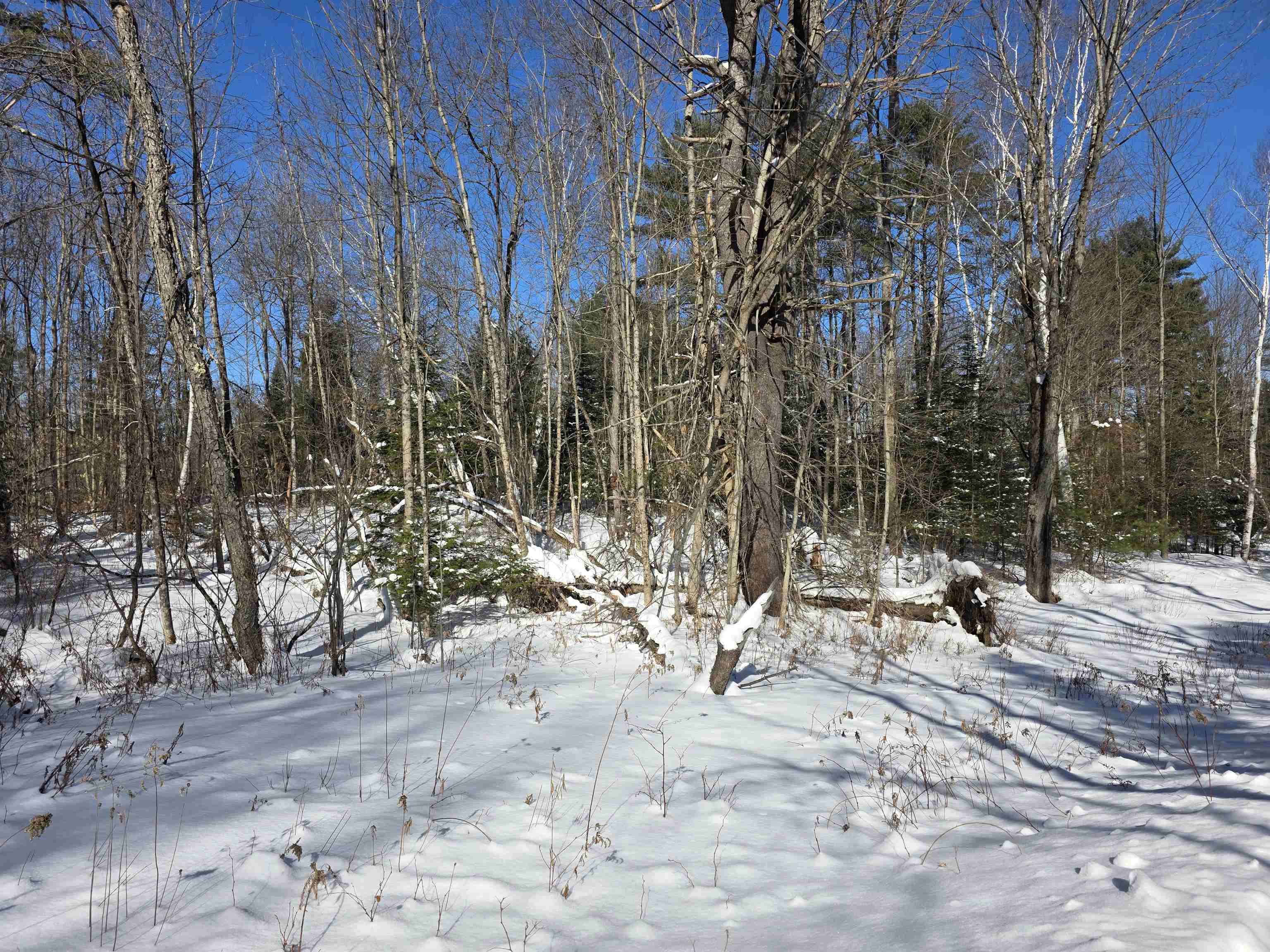 000 Lakeside Dr, Haverhill, NH 03785