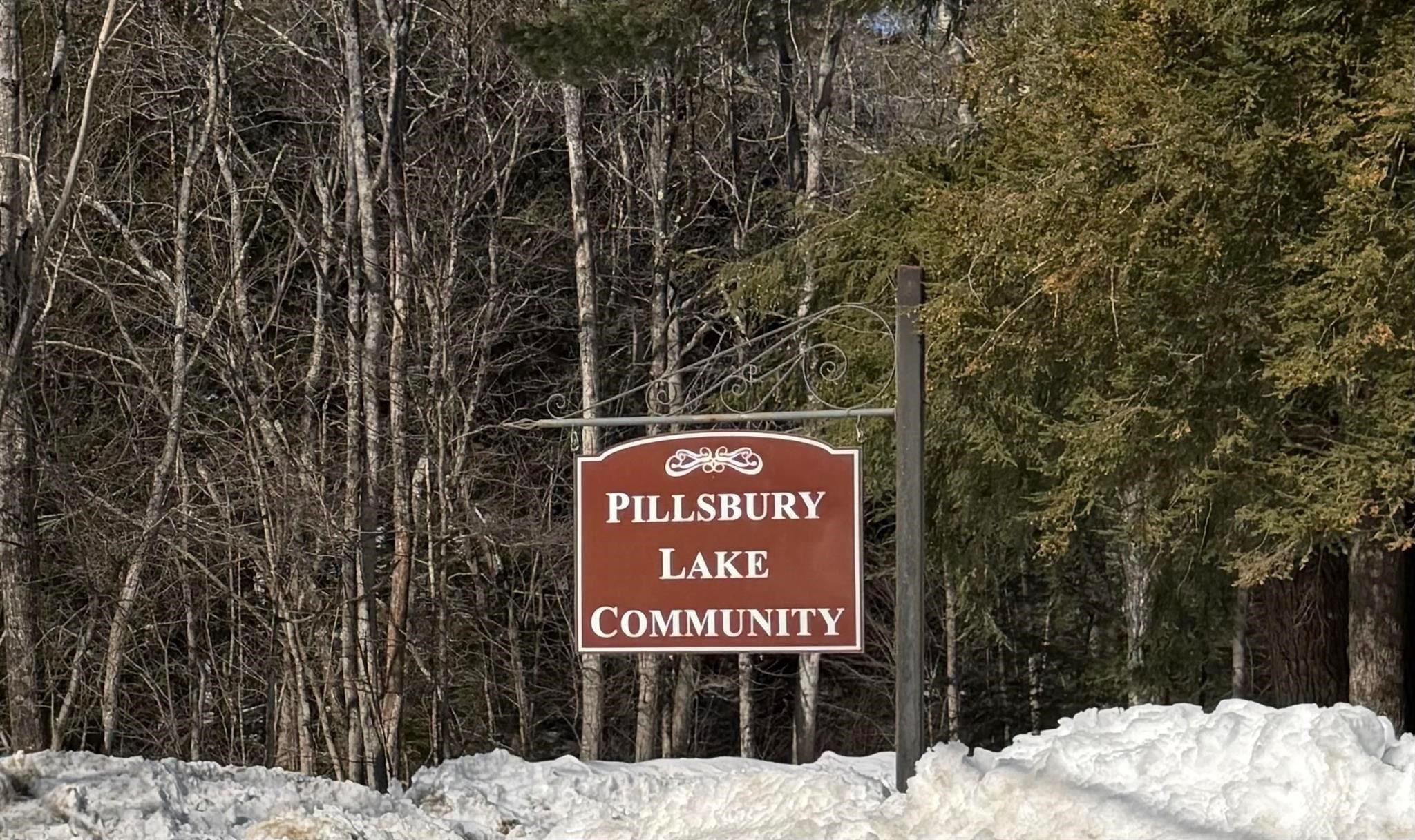 110 New Hampshire Dr, Webster, NH 03303