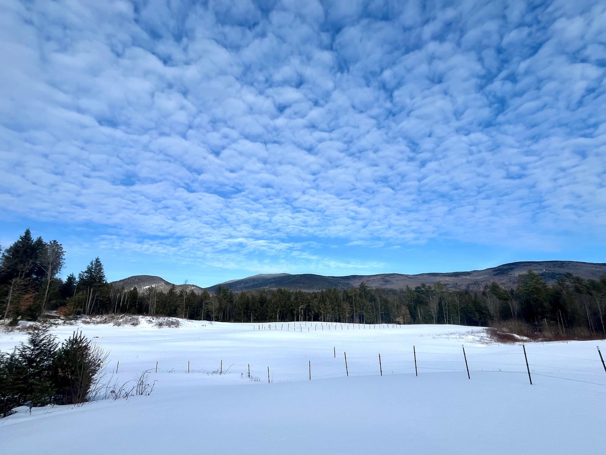   Click for more details  