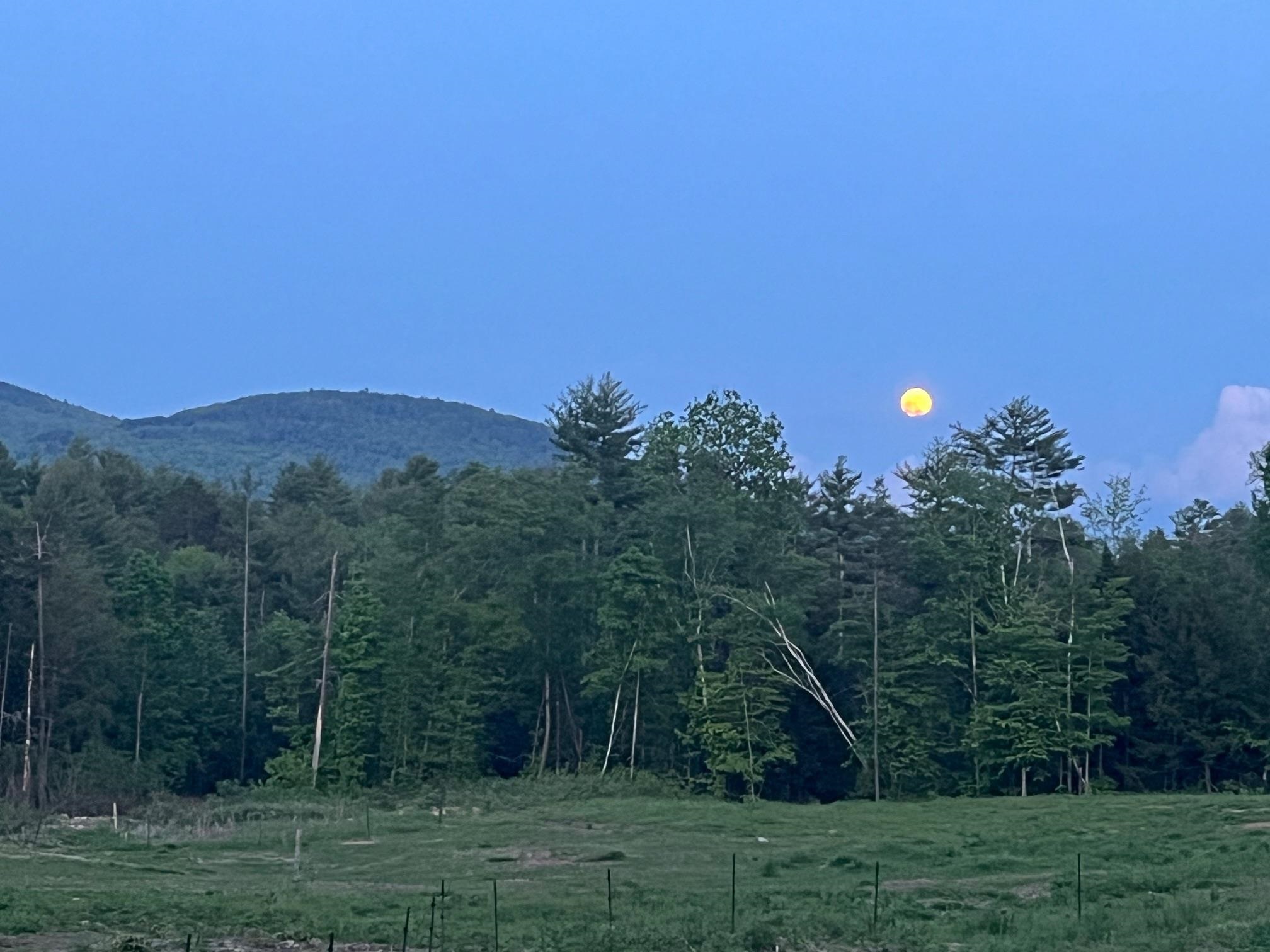 139 Turner Rd, Wentworth, NH 03282