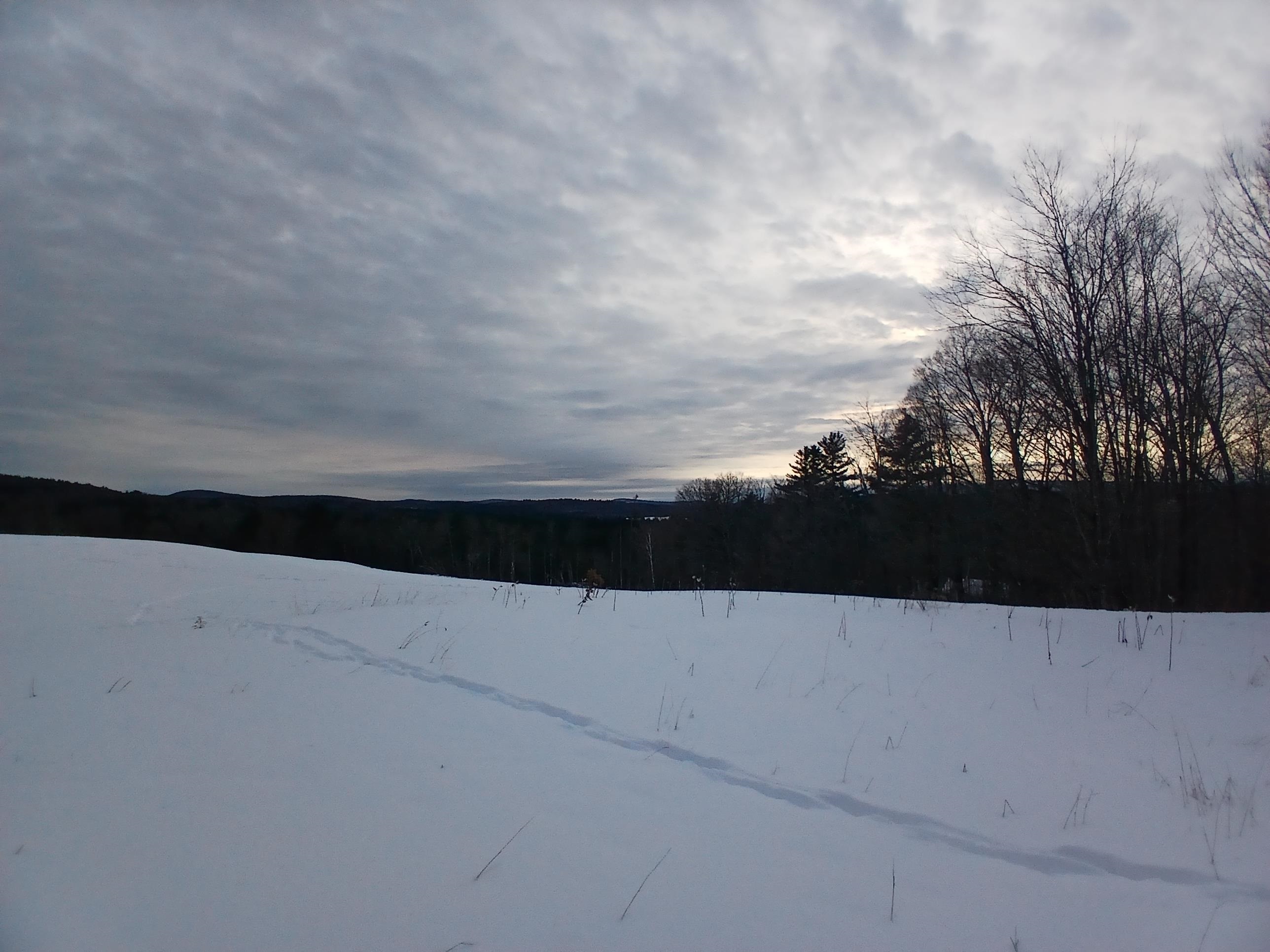 301 Hardy Hill Rd, Grafton, NH 03240