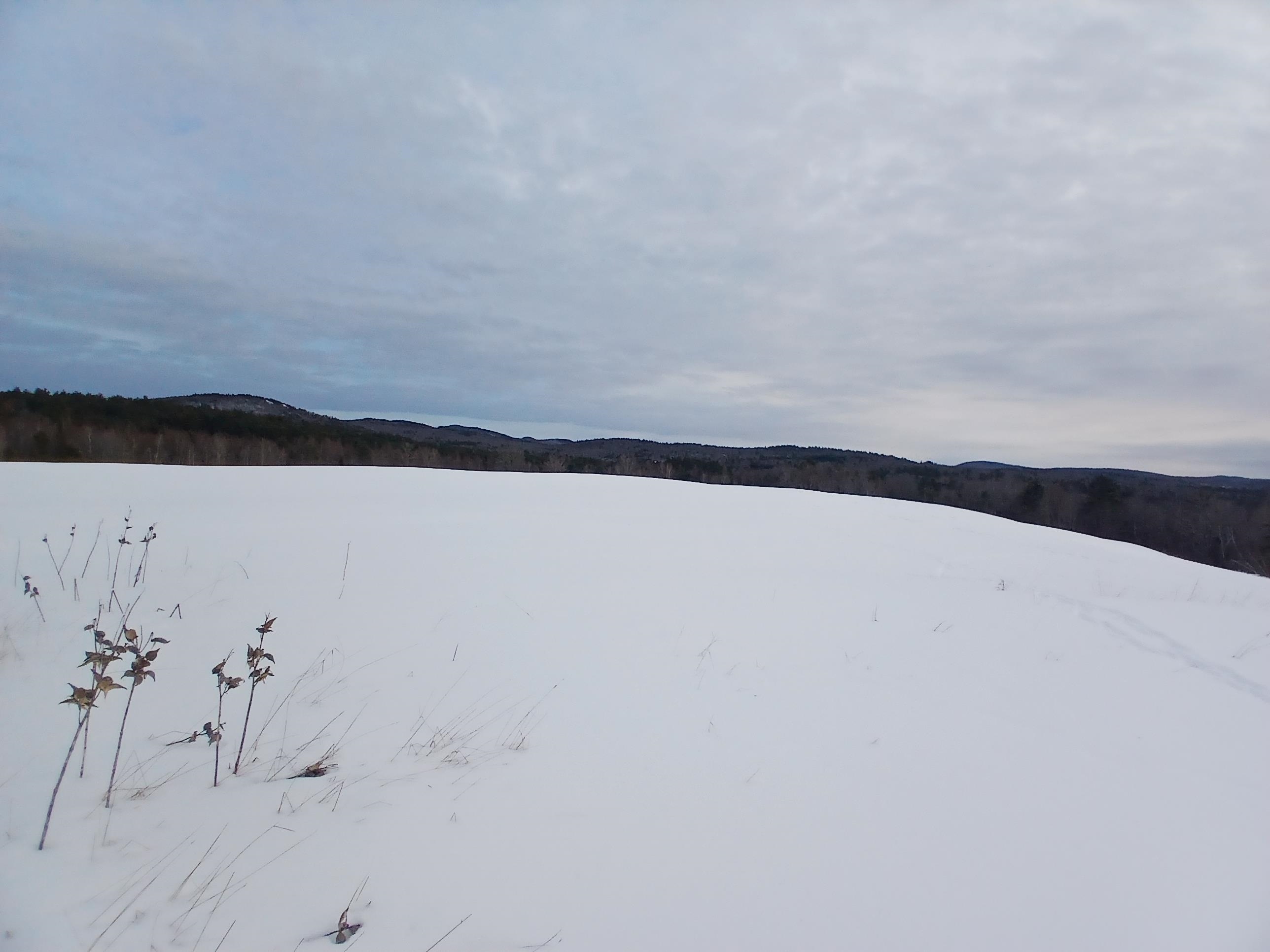 301 Hardy Hill Rd, Grafton, NH 03240