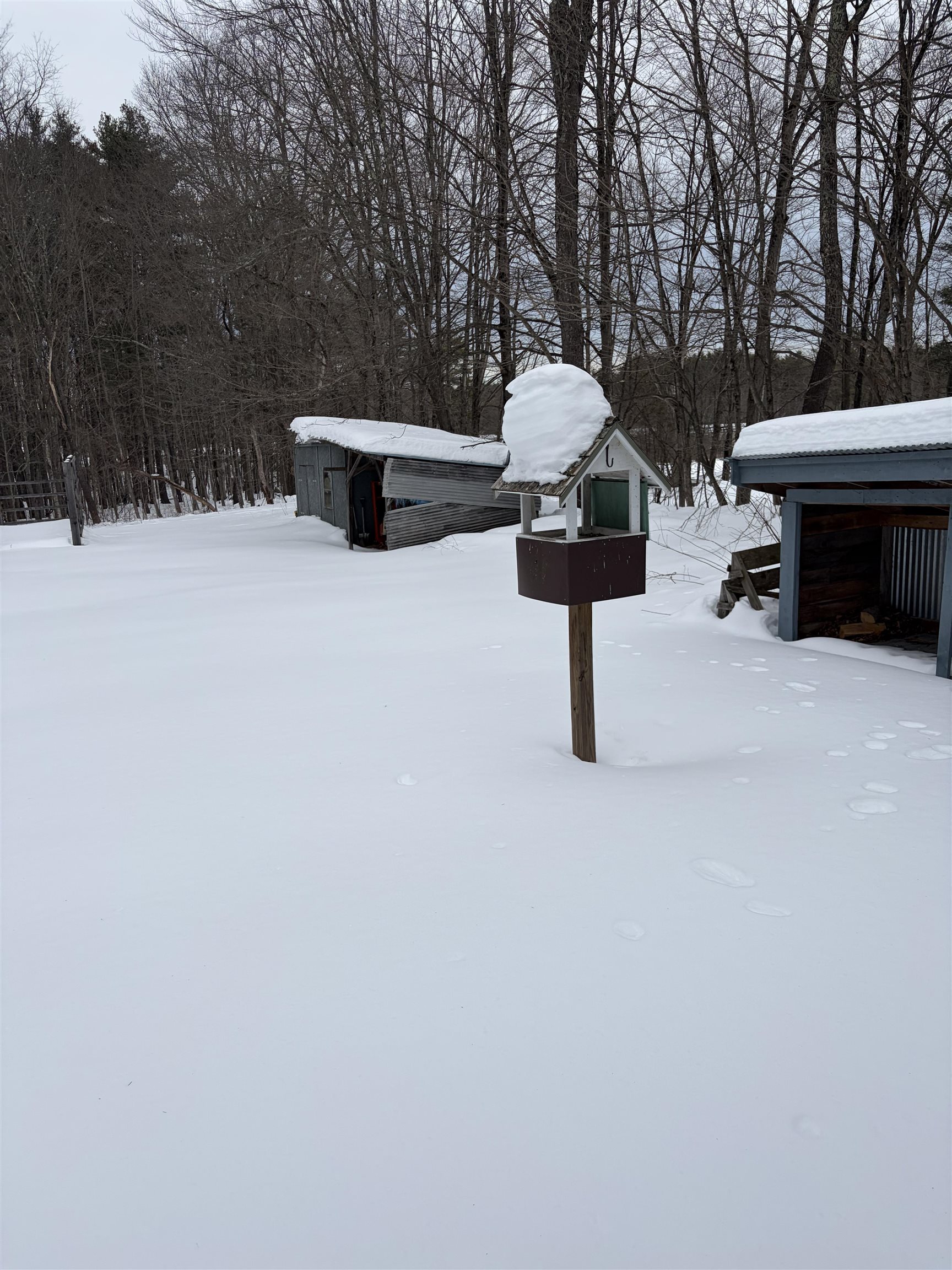 263 Pickpocket Rd, Brentwood, NH 03833