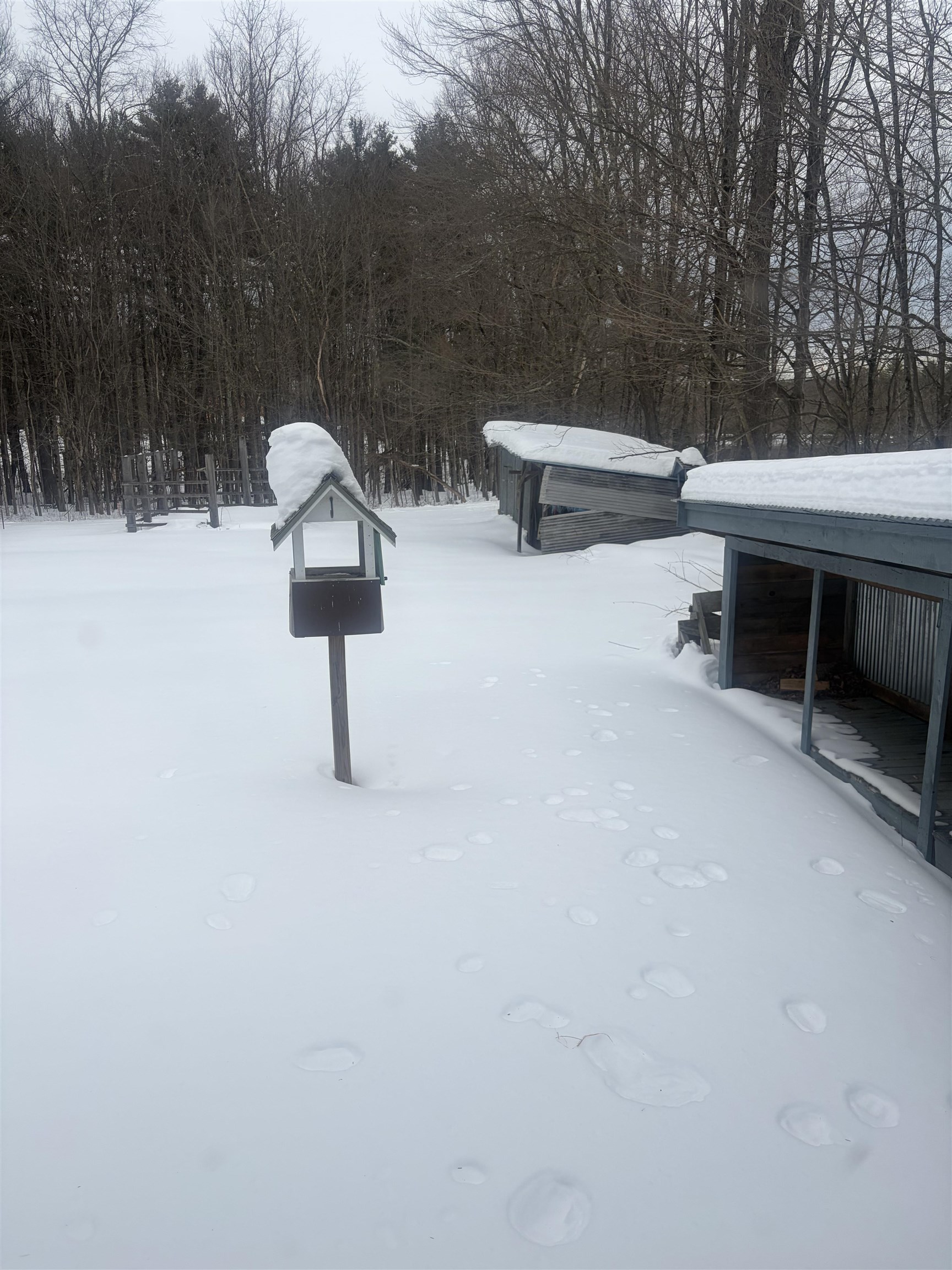 263 Pickpocket Rd, Brentwood, NH 03833