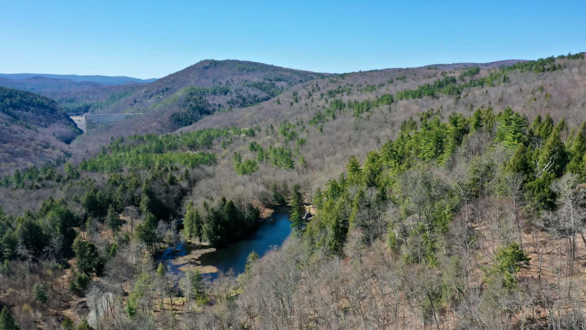Jamaica VT&nbsp;Land for sale $500,000 | 71 Acres  | Price Per Acre $0 
