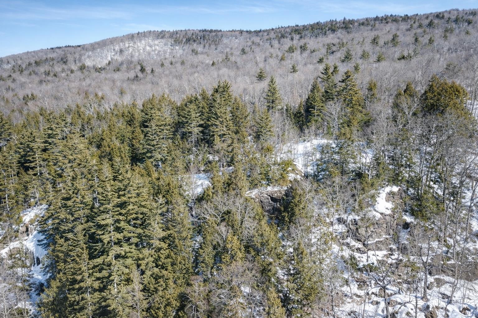 Tucked Back in Nature