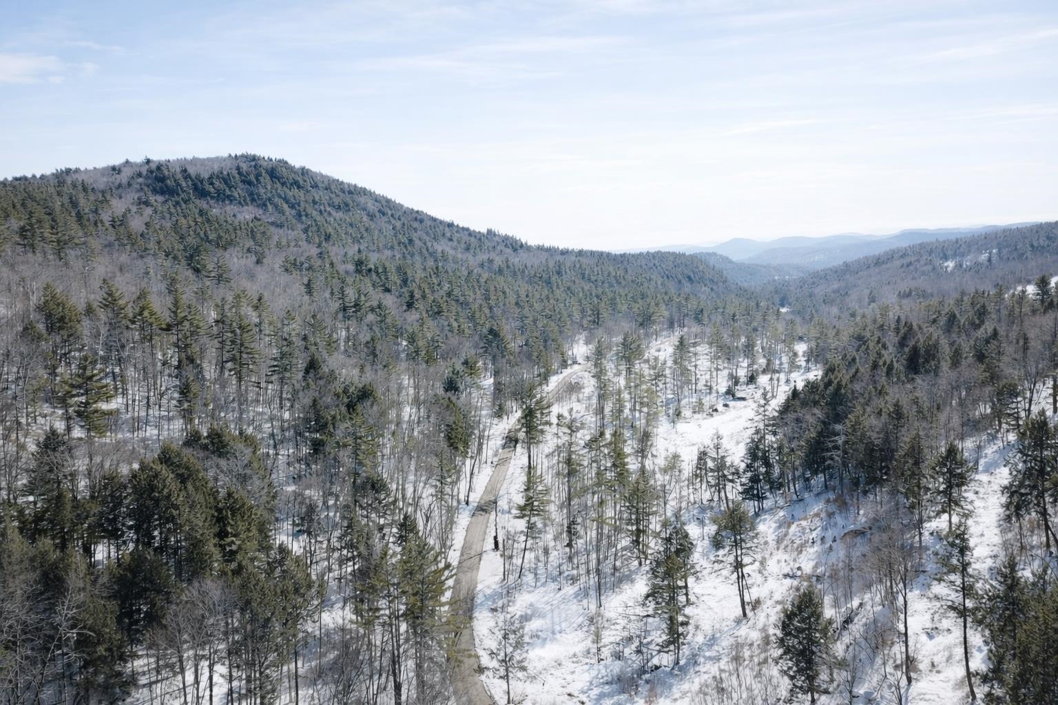 Variety of Wood Species