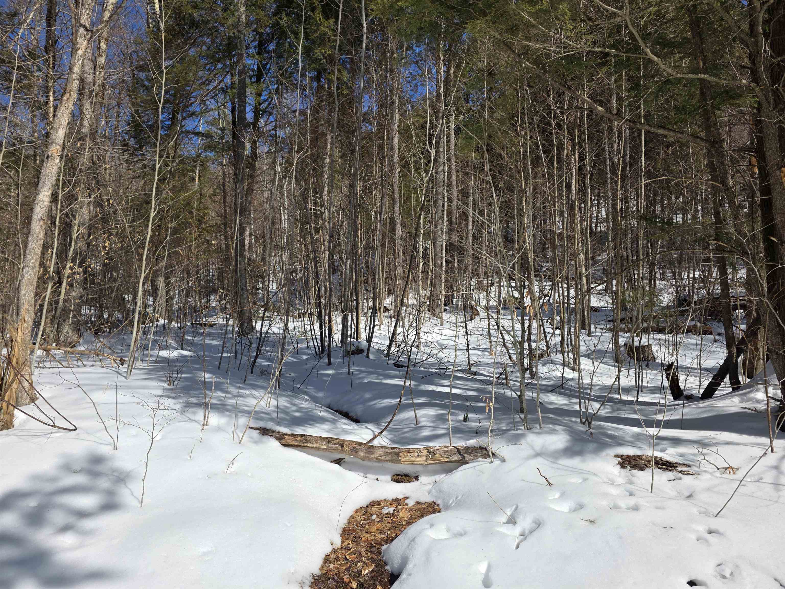 Seasonal Streams Run Through