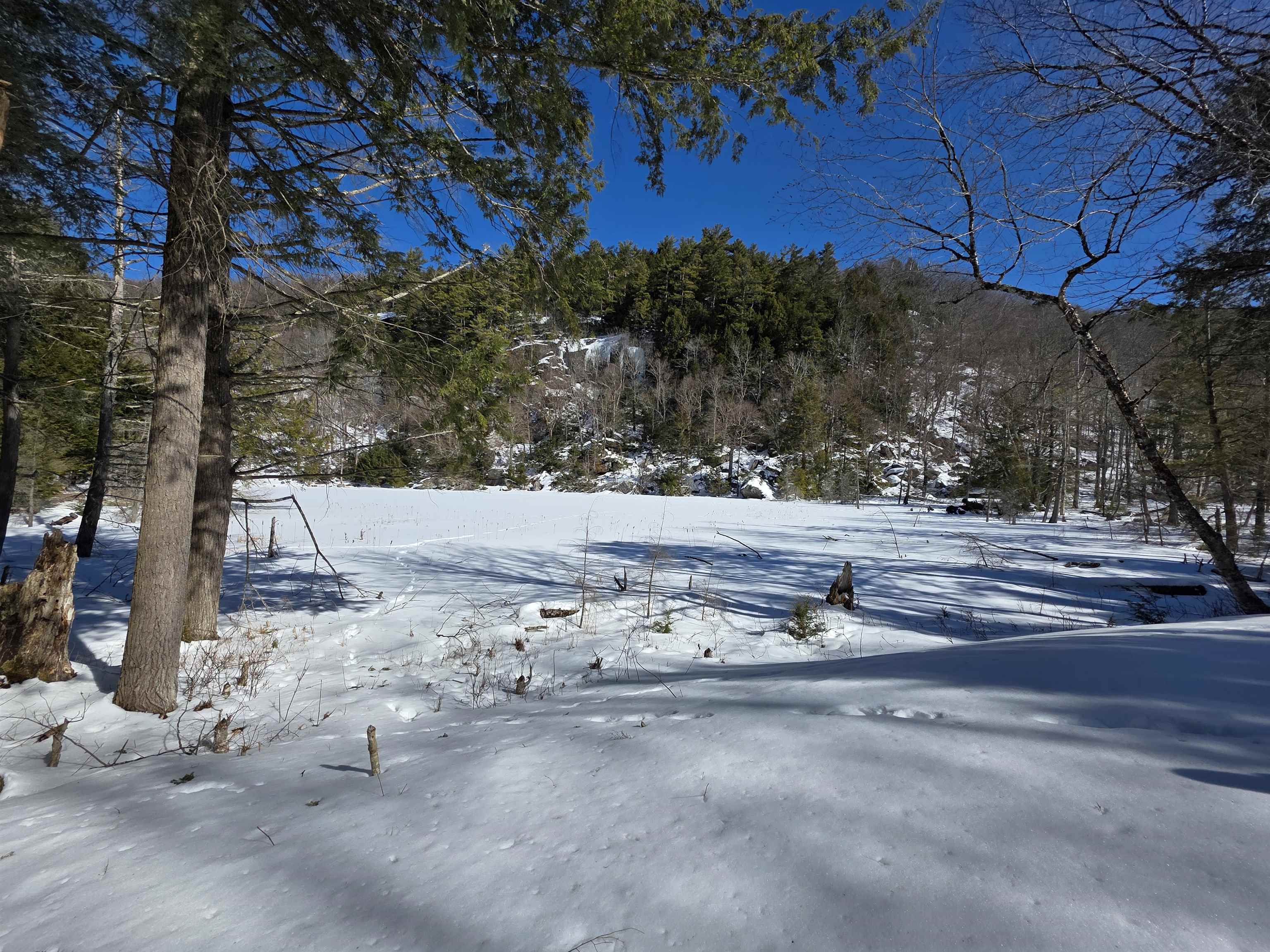 Large Wildlife Pond