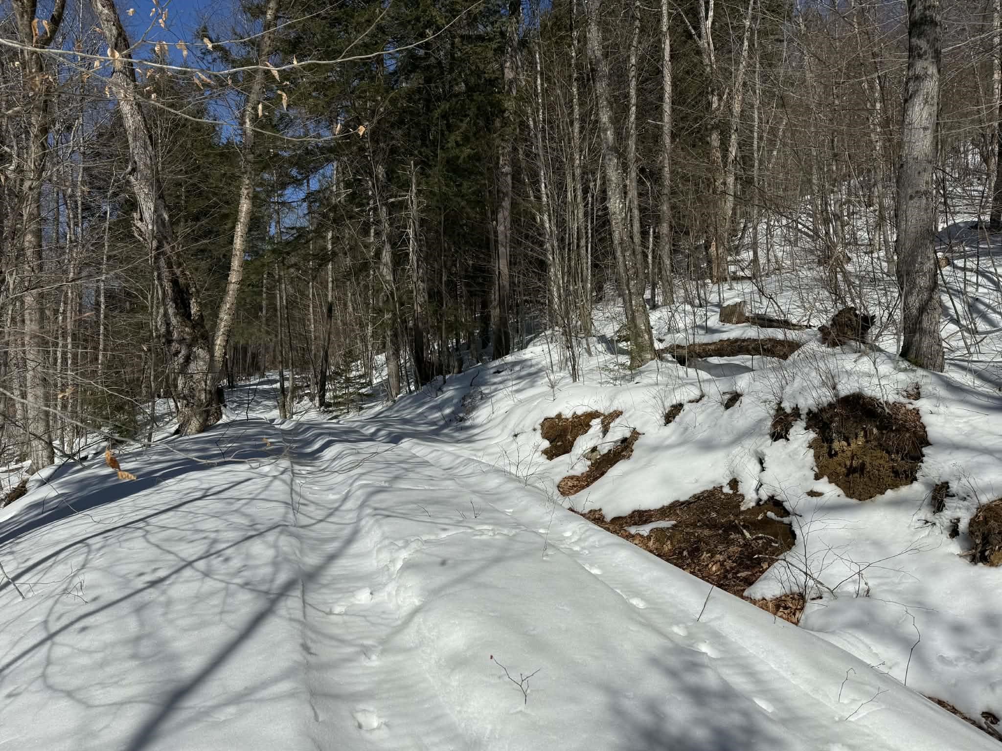 Ring Road Built Around Perimiter