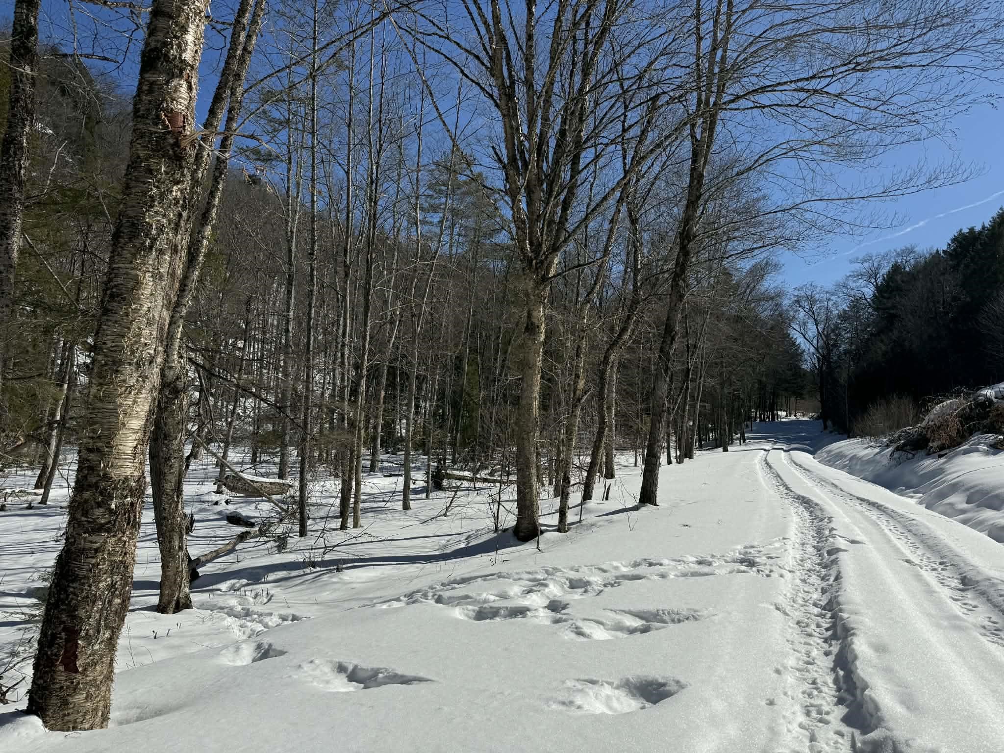 Signs of Wildlife Everywhere