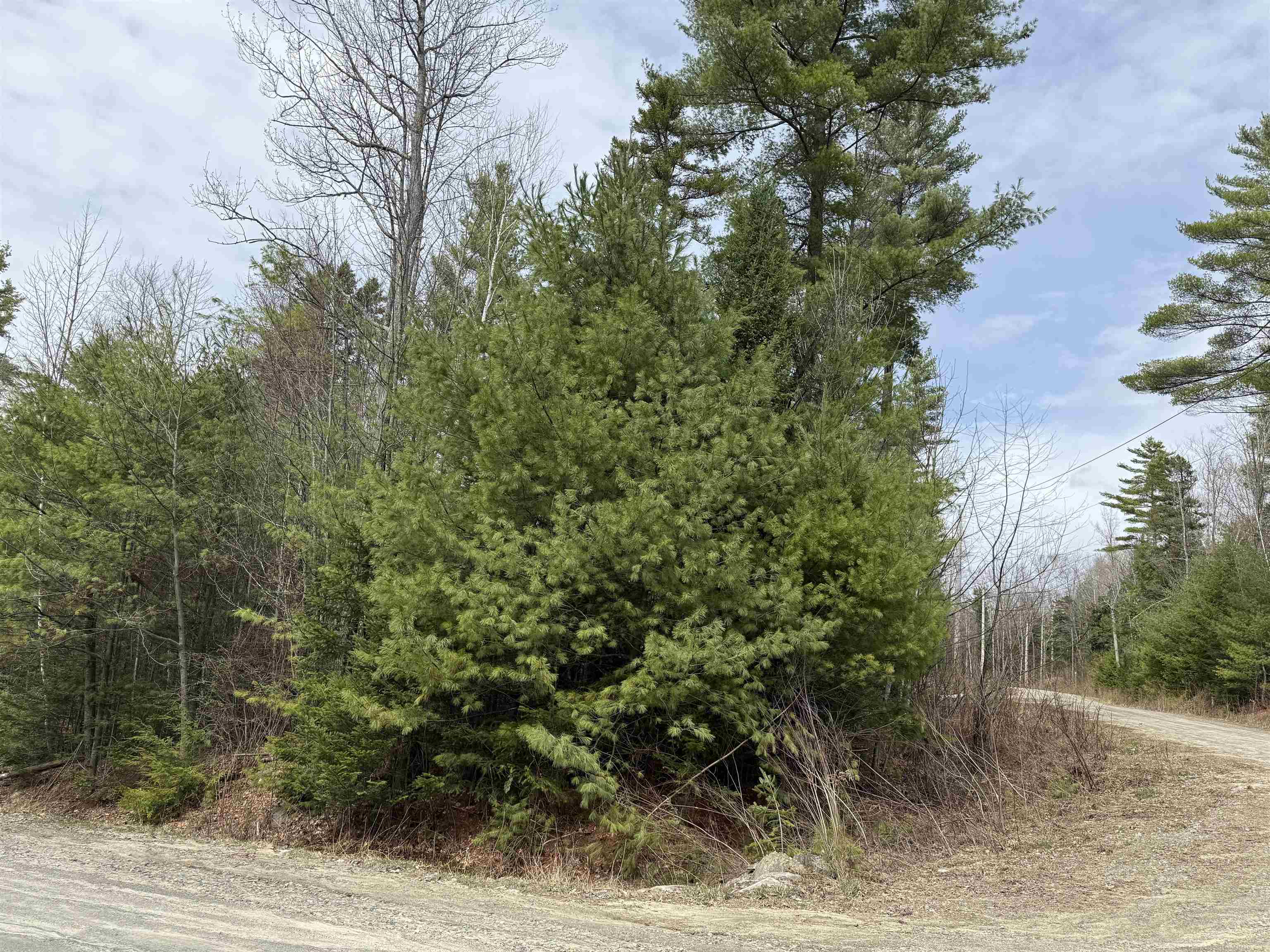 Dove And Hawk Ln, Canaan, NH 03741