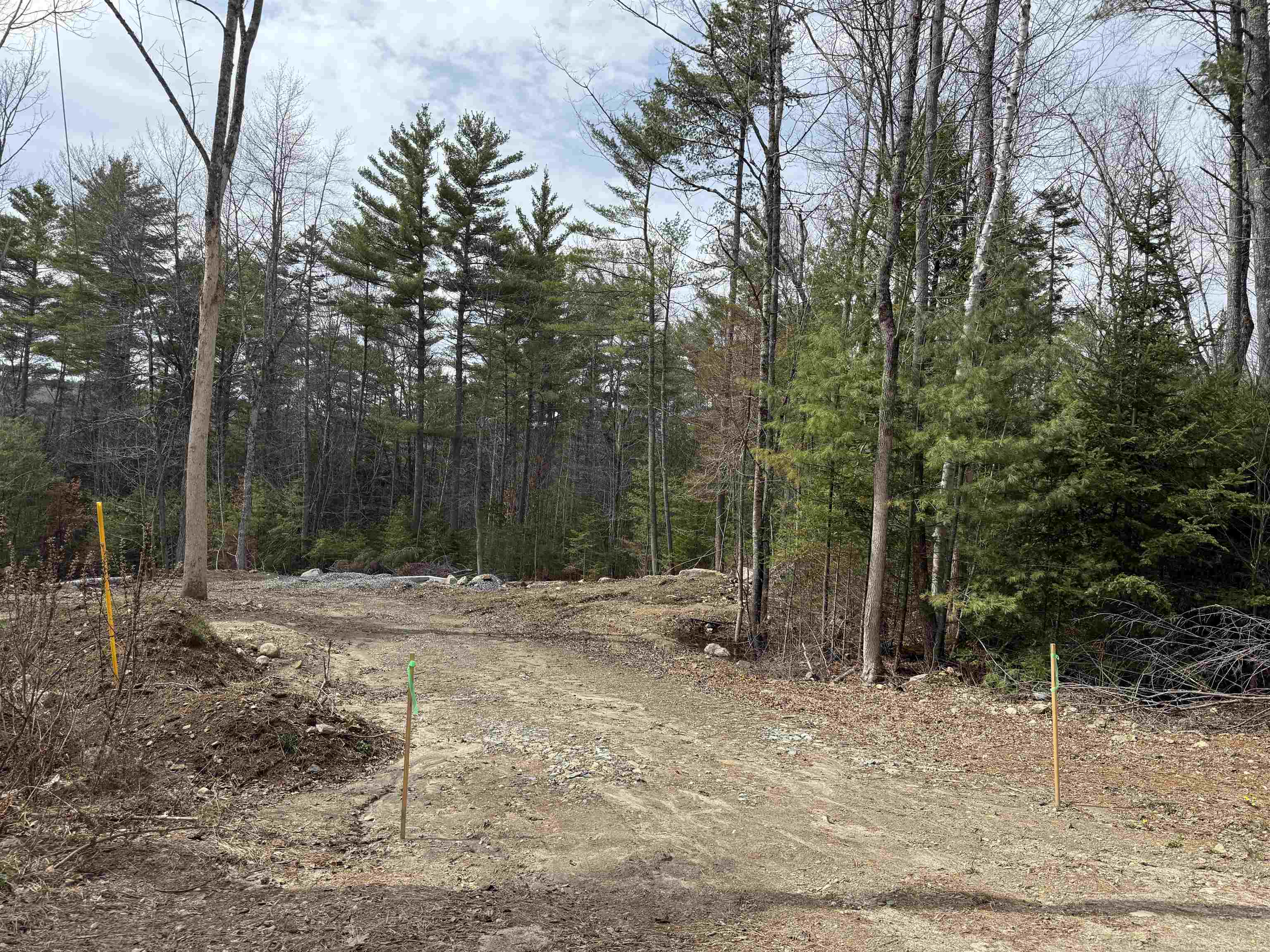 Driveway Area 25045164