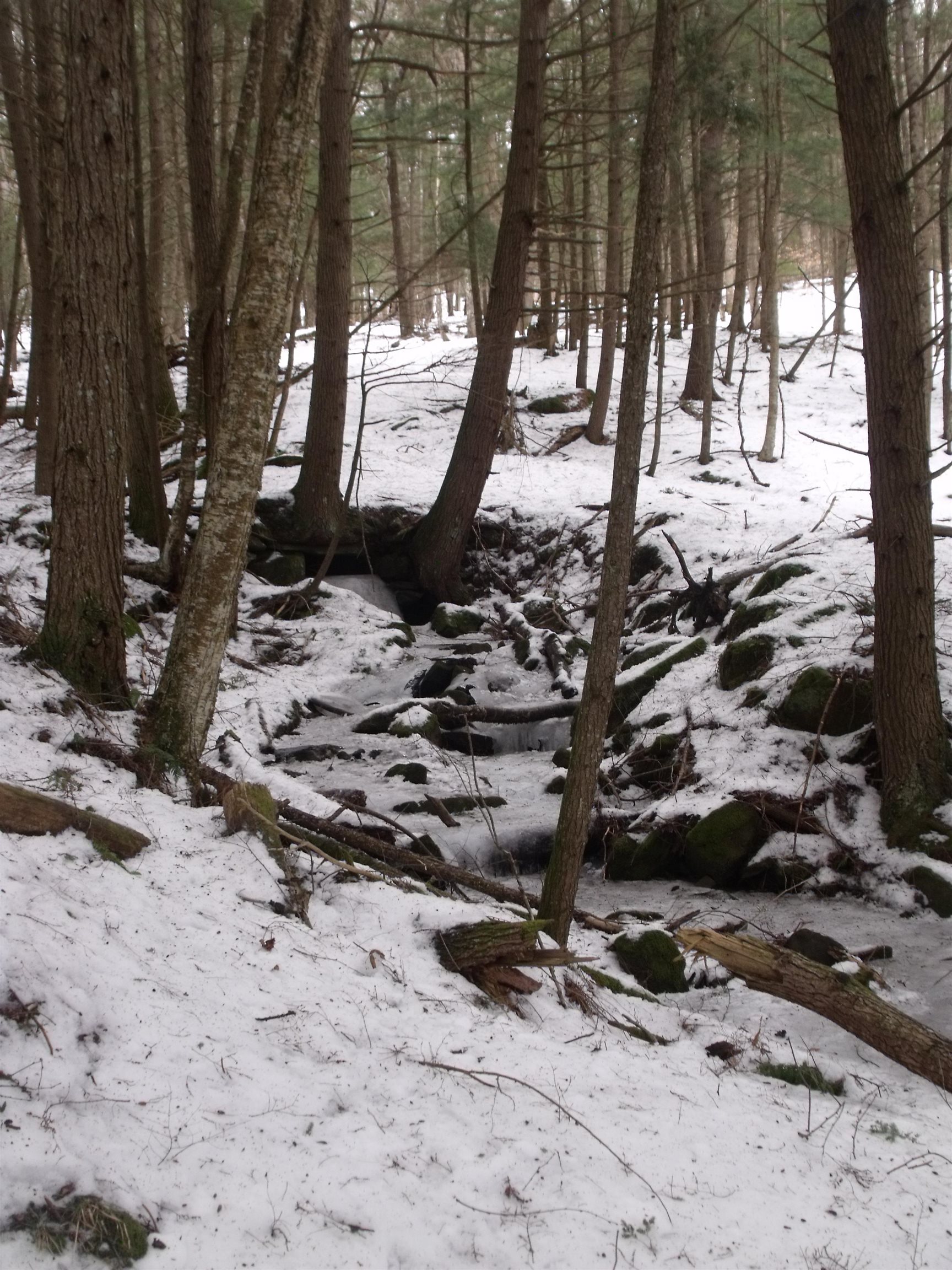 3186 South Rd, Woodstock, VT 05091