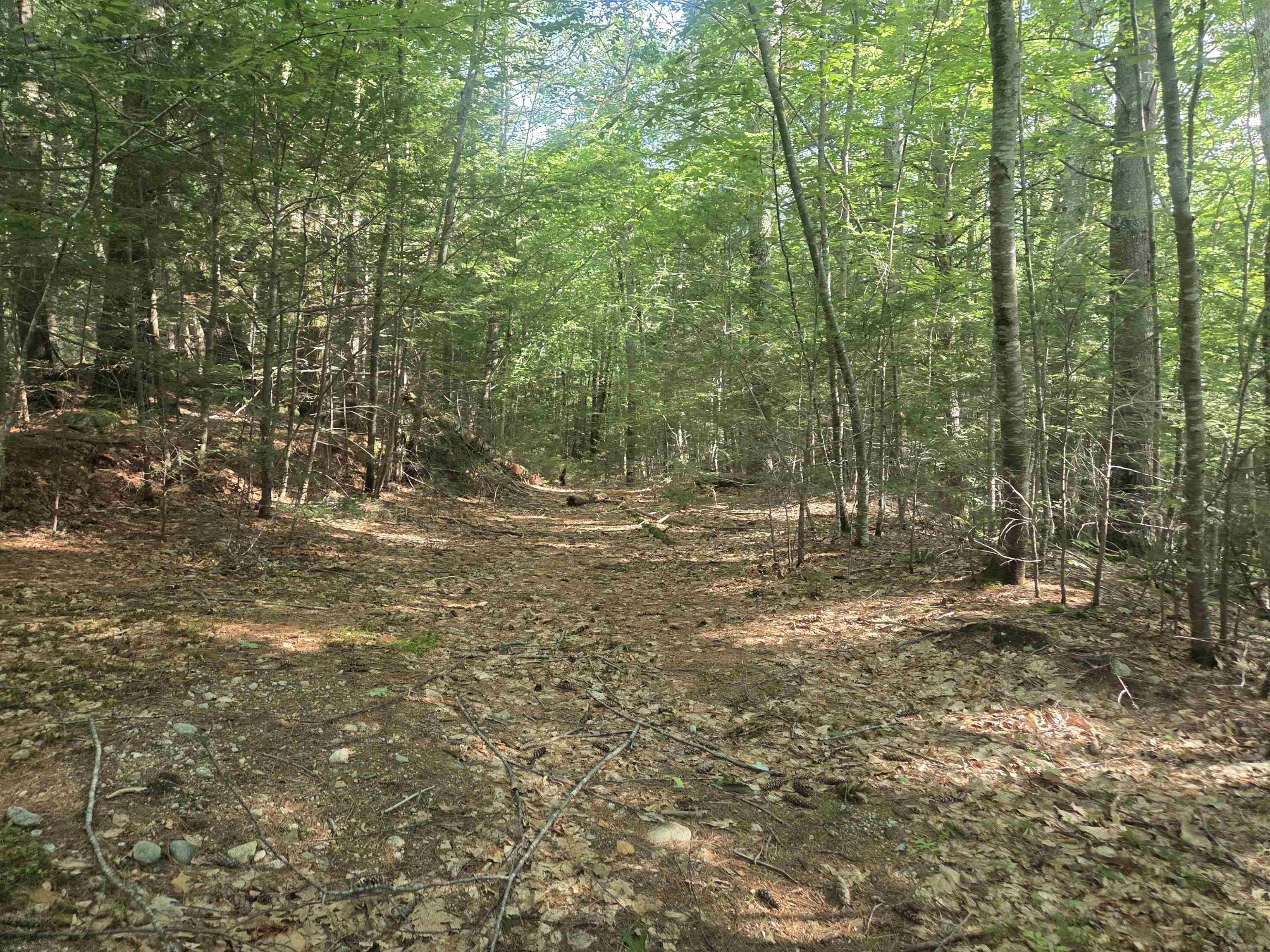 M20 L45 Green Road, Raymond, NH photo 2