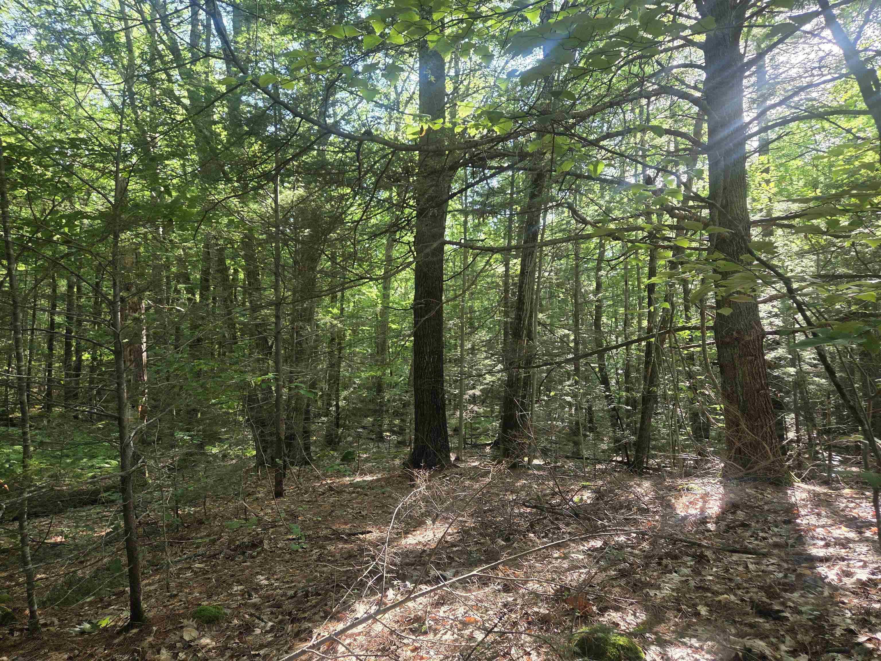 M20 L45 Green Road, Raymond, NH photo 3