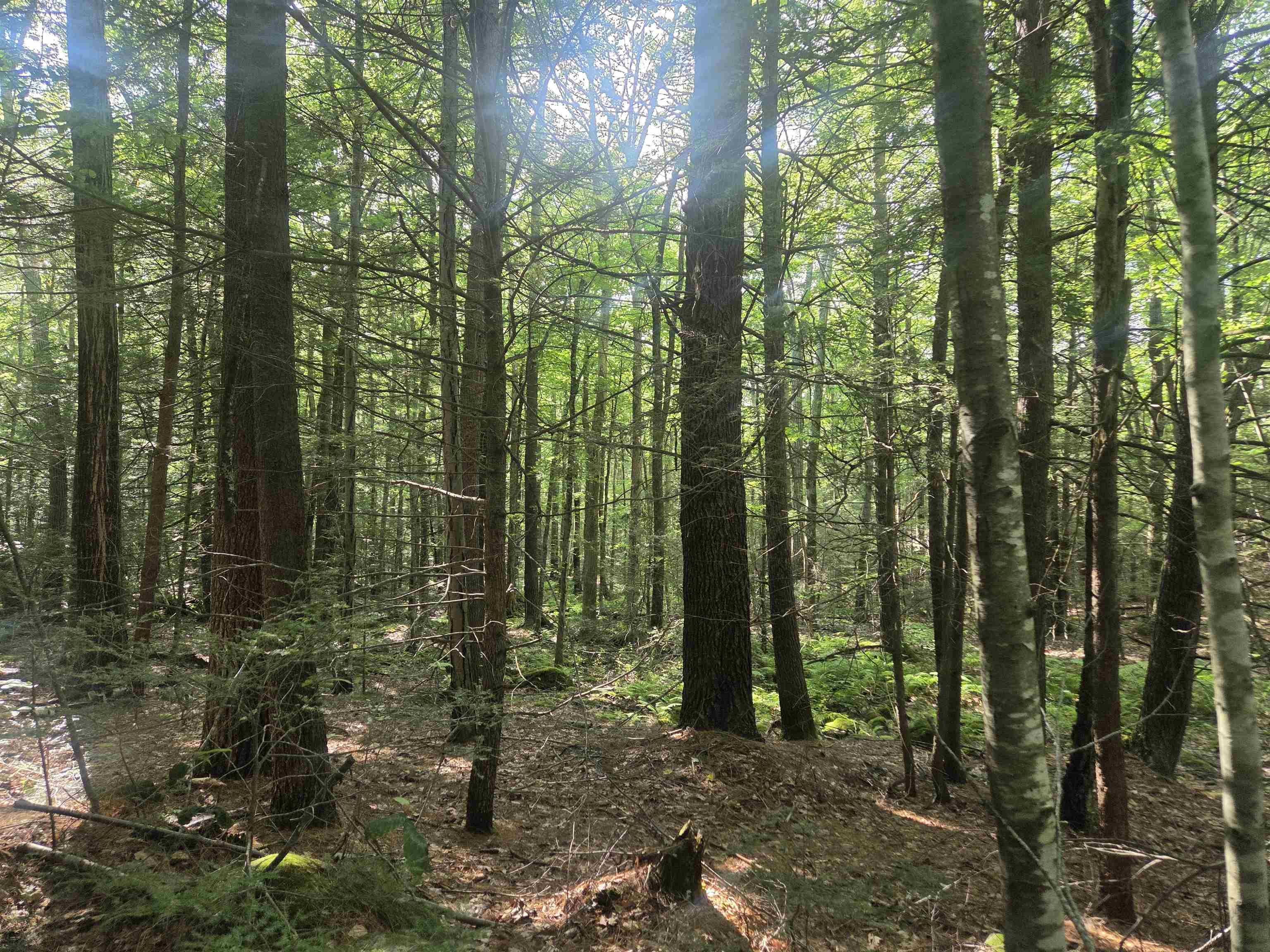 M20 L45 Green Road, Raymond, NH photo 5
