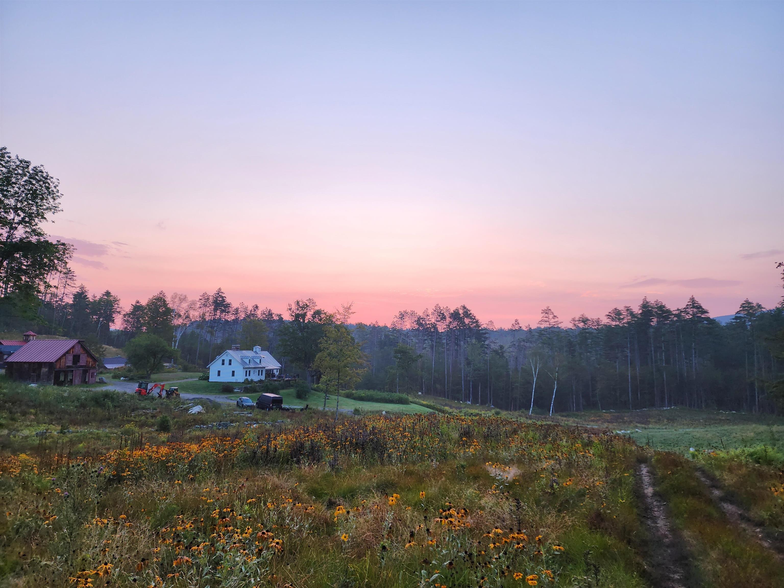 Property photo 41