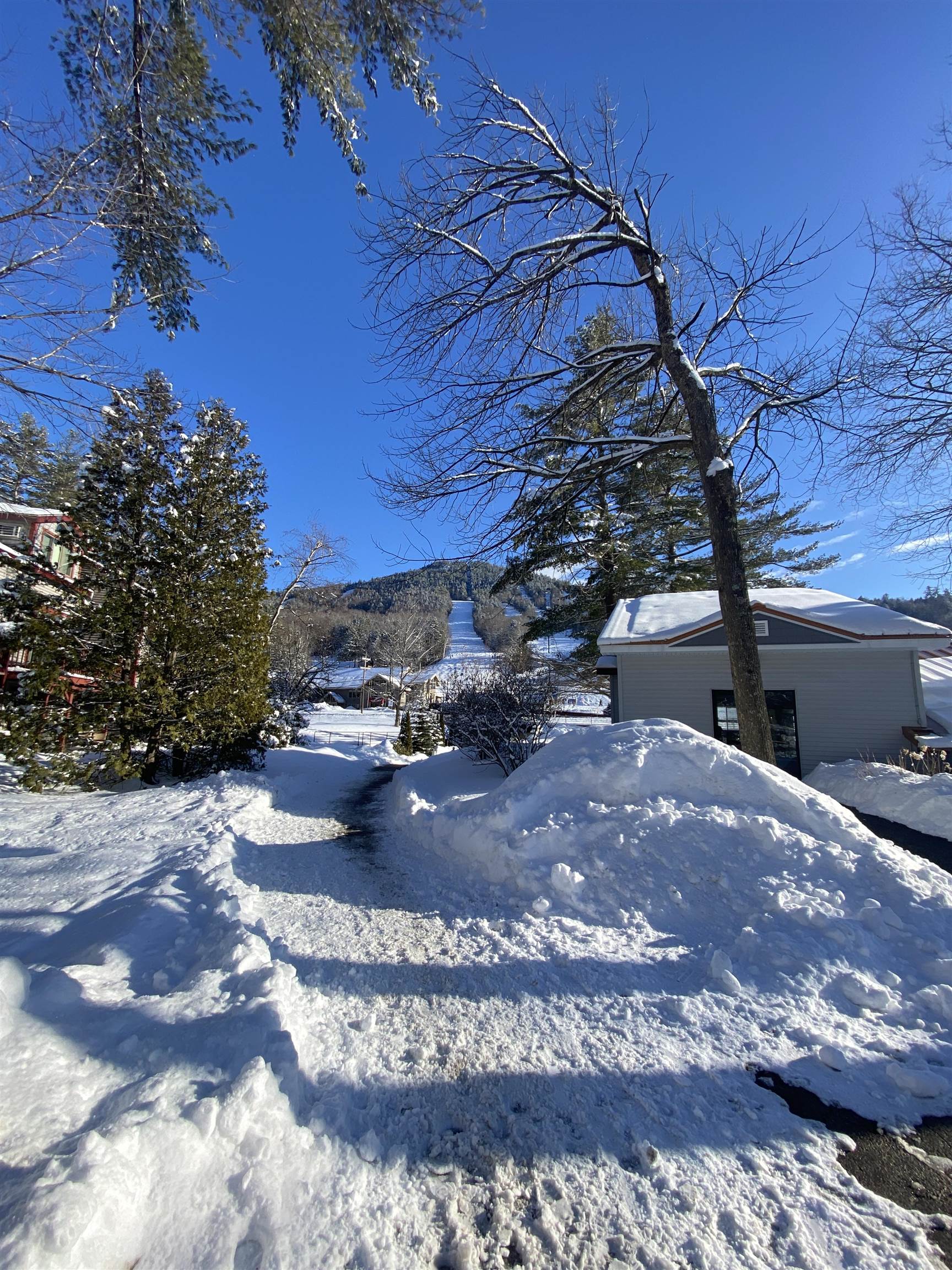 2 River Run Dr, Bartlett, NH 03812