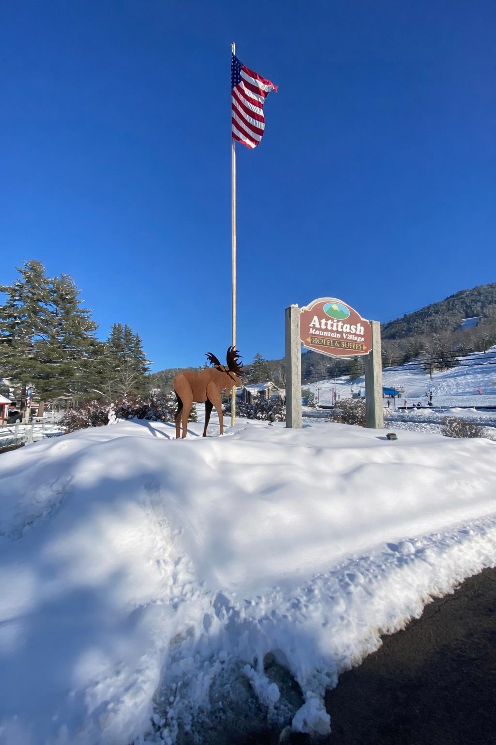 2 River Run Dr #C, Bartlett, NH 03812