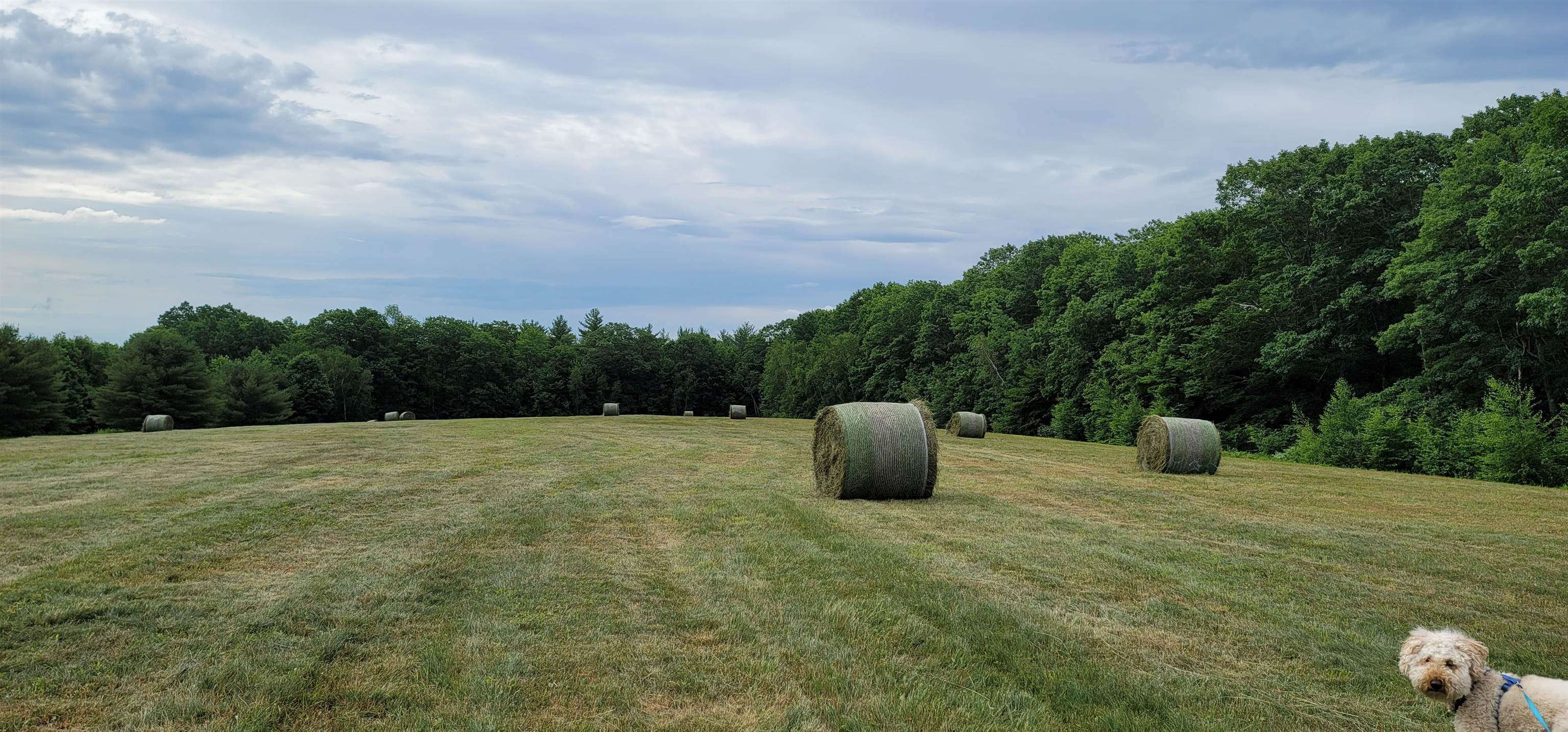 00 Bingham Rd, Gilmanton, NH 03237