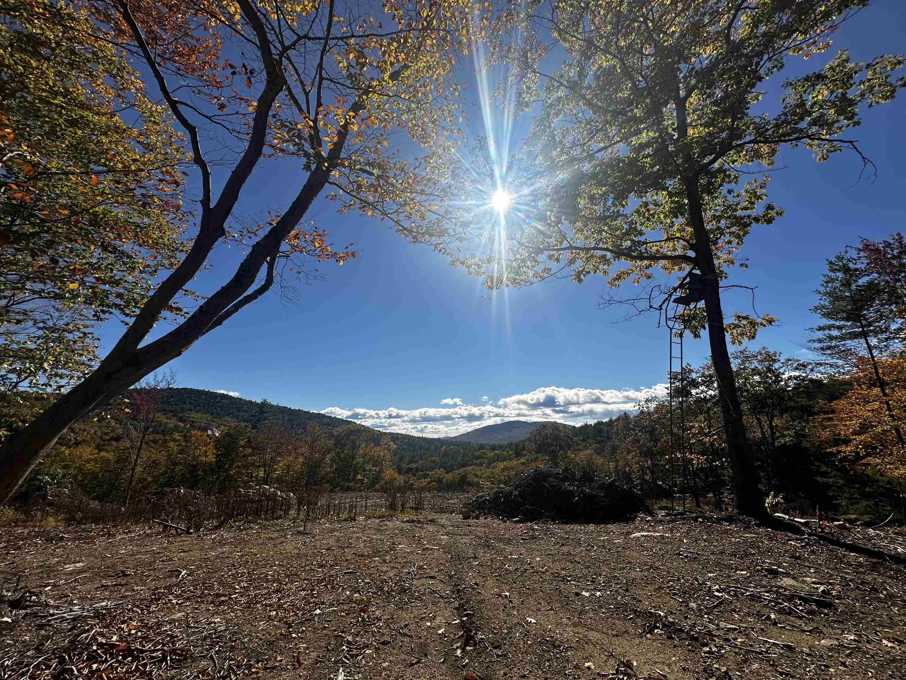 Lot 26-2 Scarboro Rd, Freedom, NH 03836