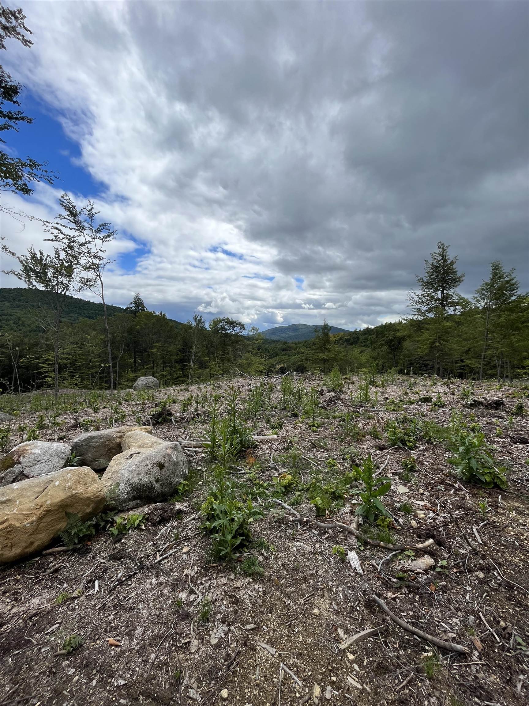 Lot 26-2 Scarboro Rd, Freedom, NH 03836