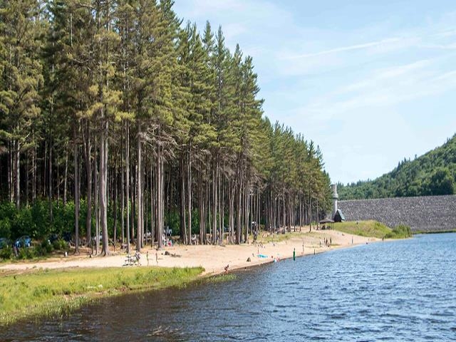 Map 201 Lot 114 Thorndike Rd, Weare, NH 03281