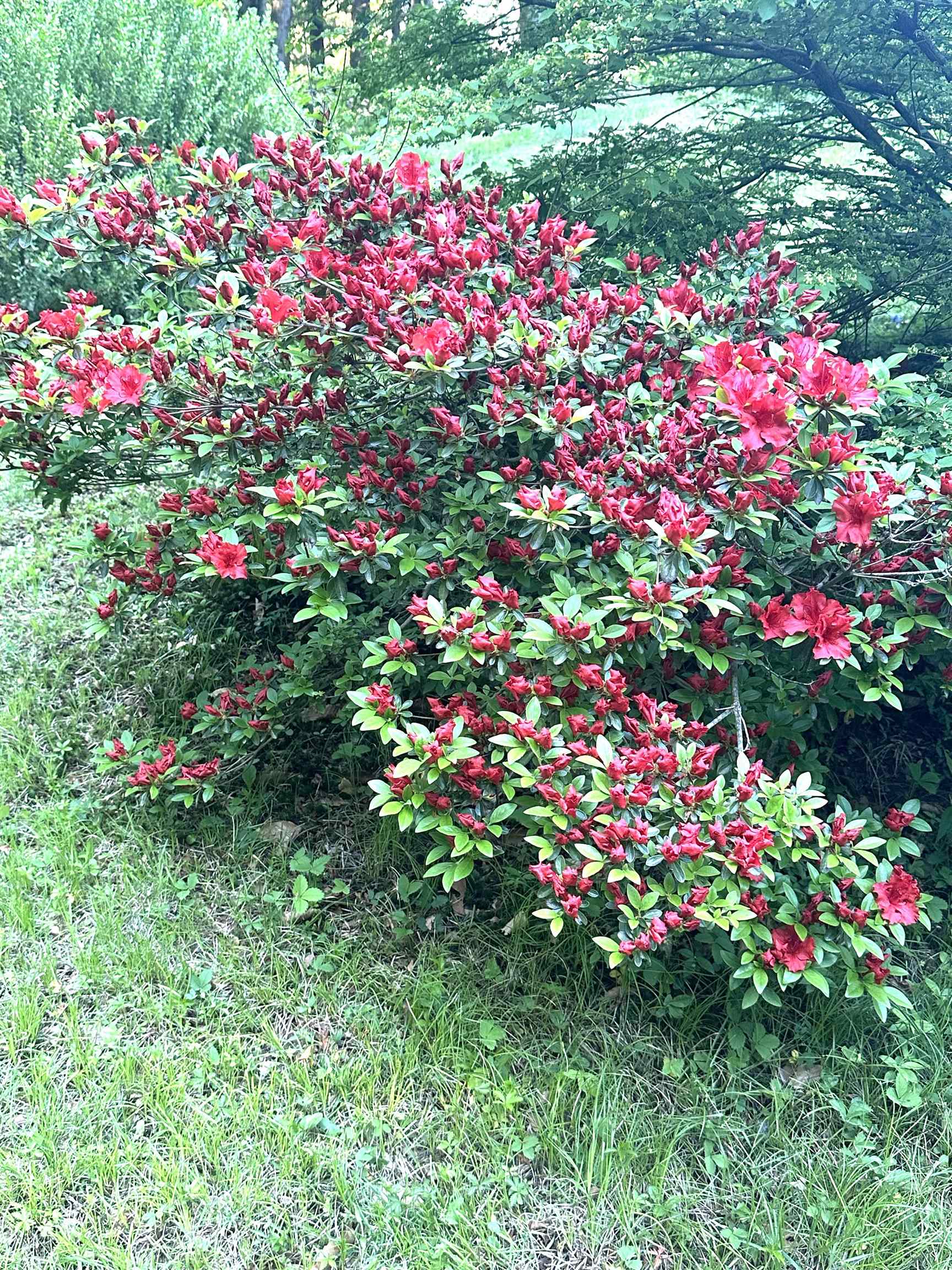 136 Lovering Ave, Loudon, NH 03307