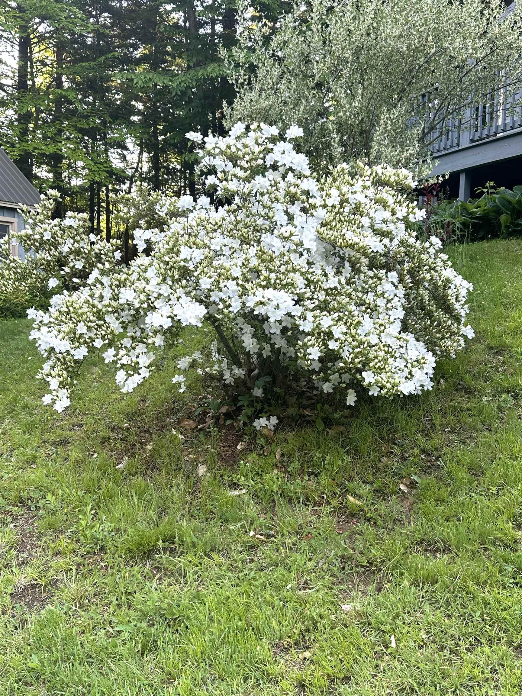 136 Lovering Ave, Loudon, NH 03307