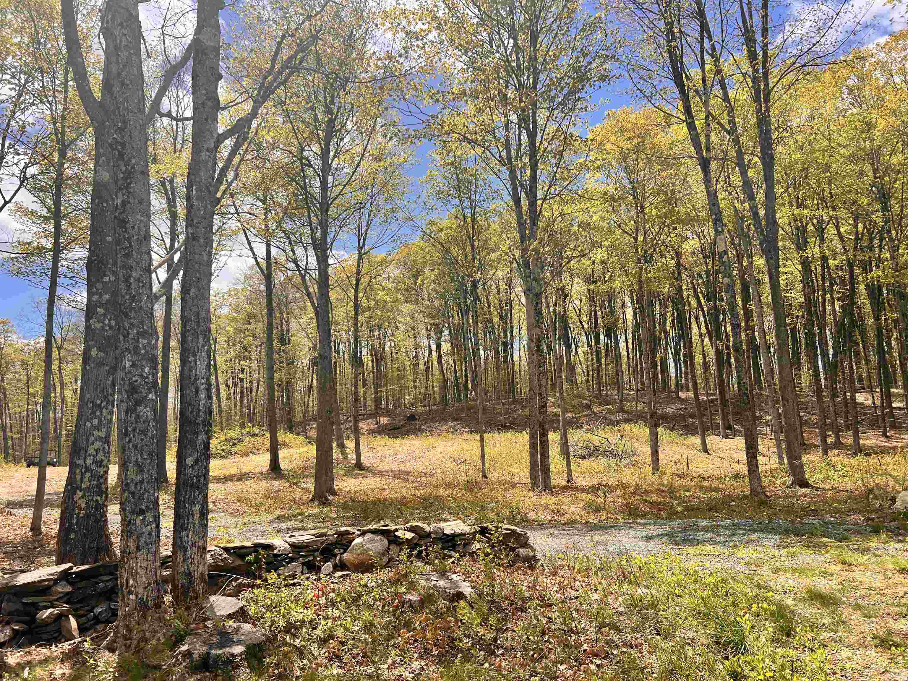 Homes for sale in Hartland, VT | 119 Advent Hill Rd, Hartland, VT 05048 | MLS# 5077715