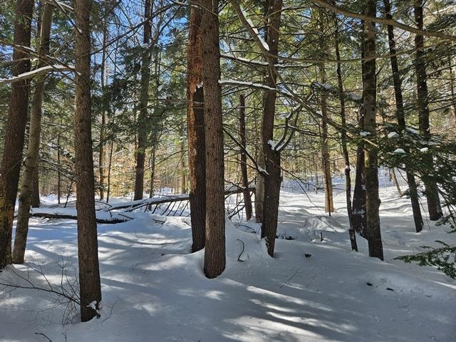 0 Peg Shop Rd, Keene, NH 03431