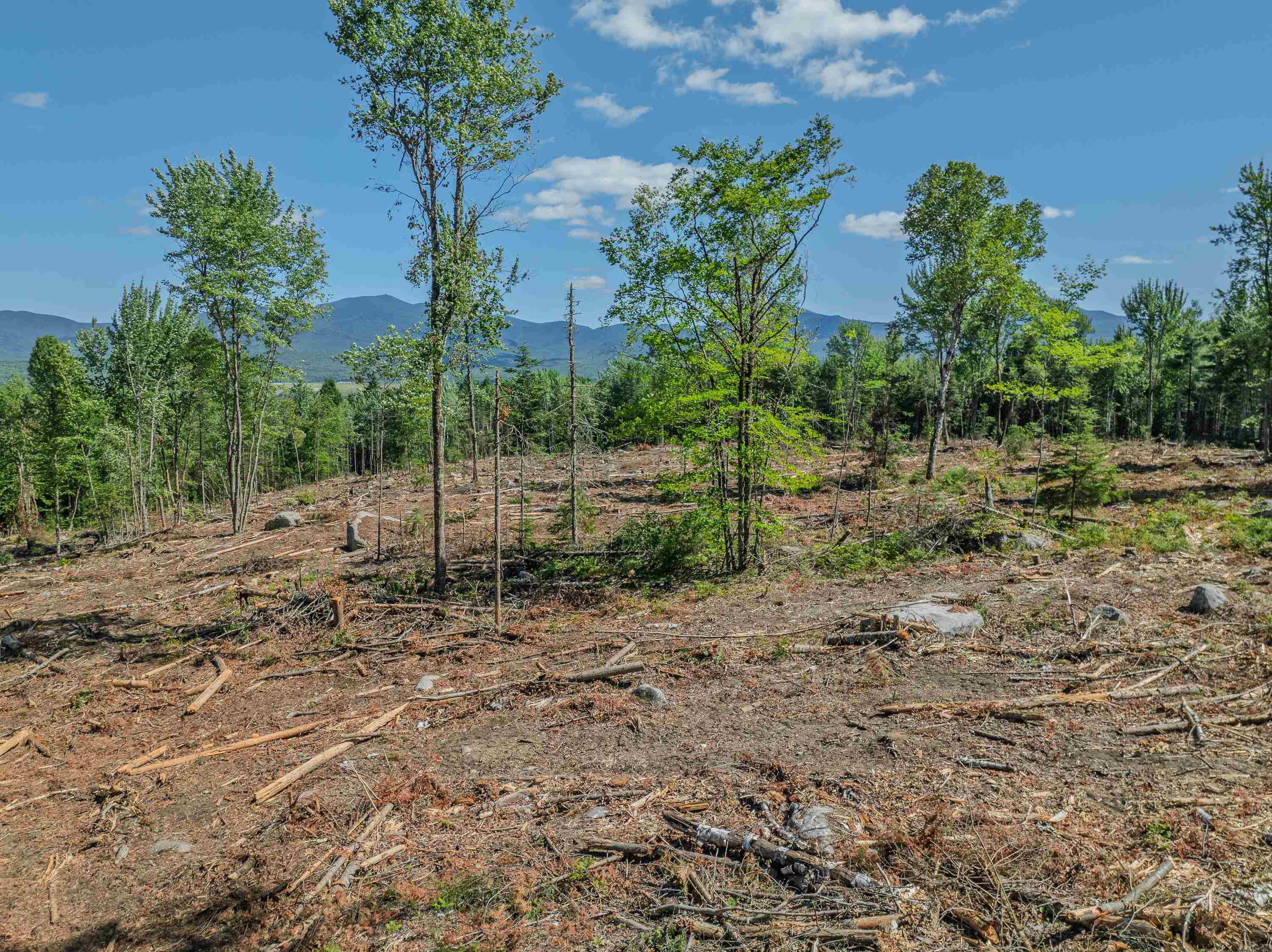 00 Ridge Rd, Bethlehem, NH 03574